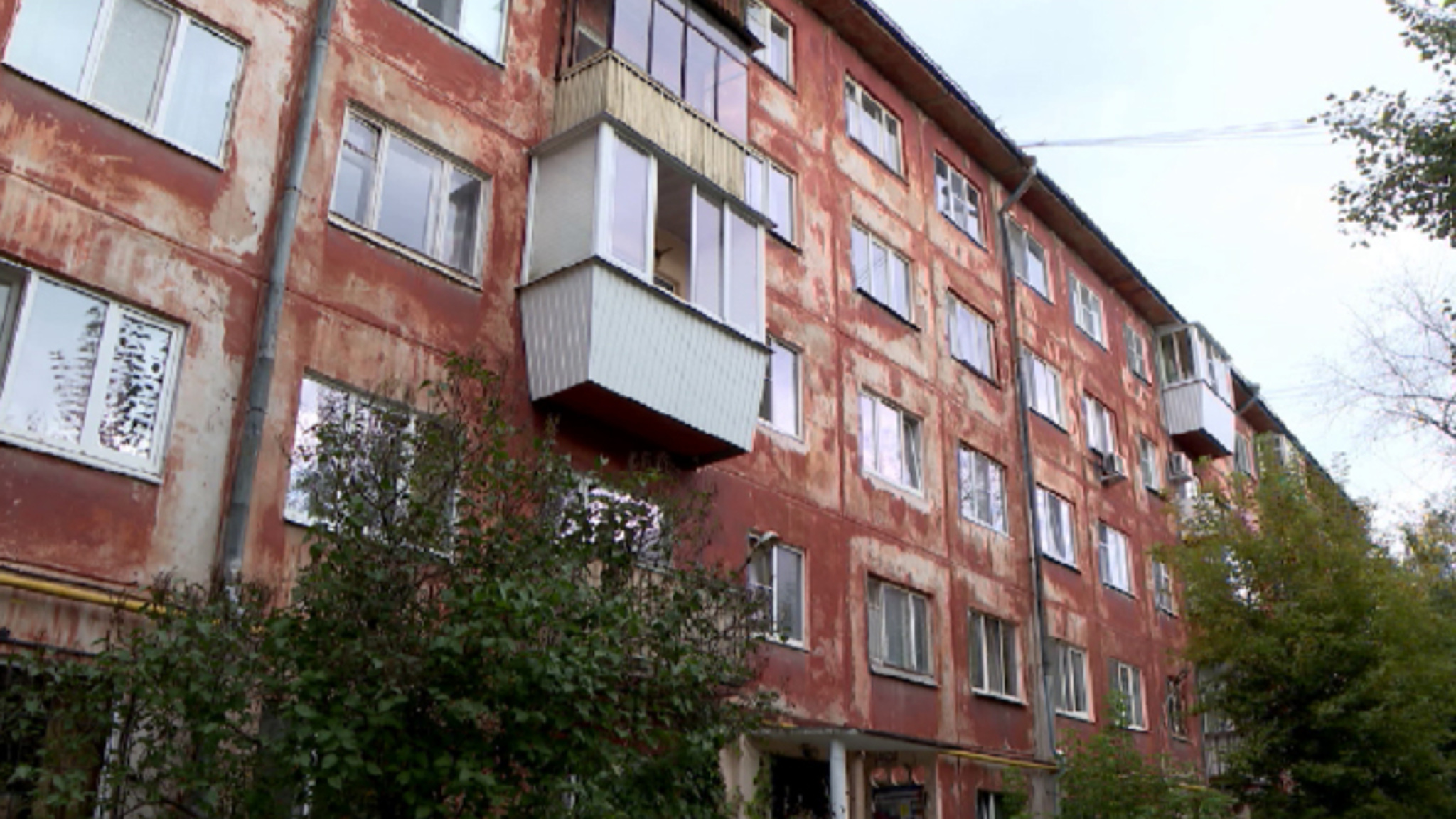 В Екатеринбурге зоозащитники в захламленной квартире обнаружили 16 голодных кошек