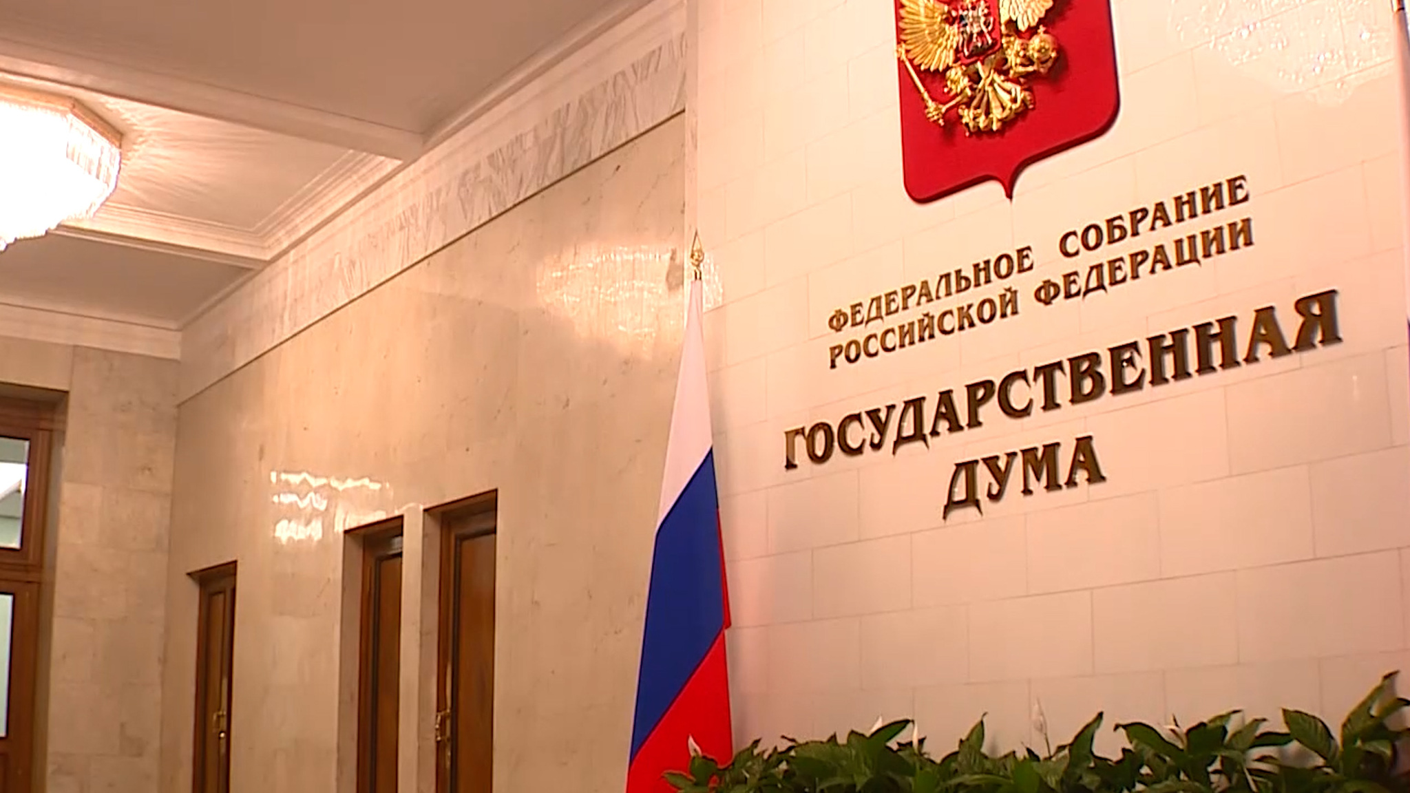 Депутаты Госдумы предлагают отменить штрафы за лайки в соцсетях