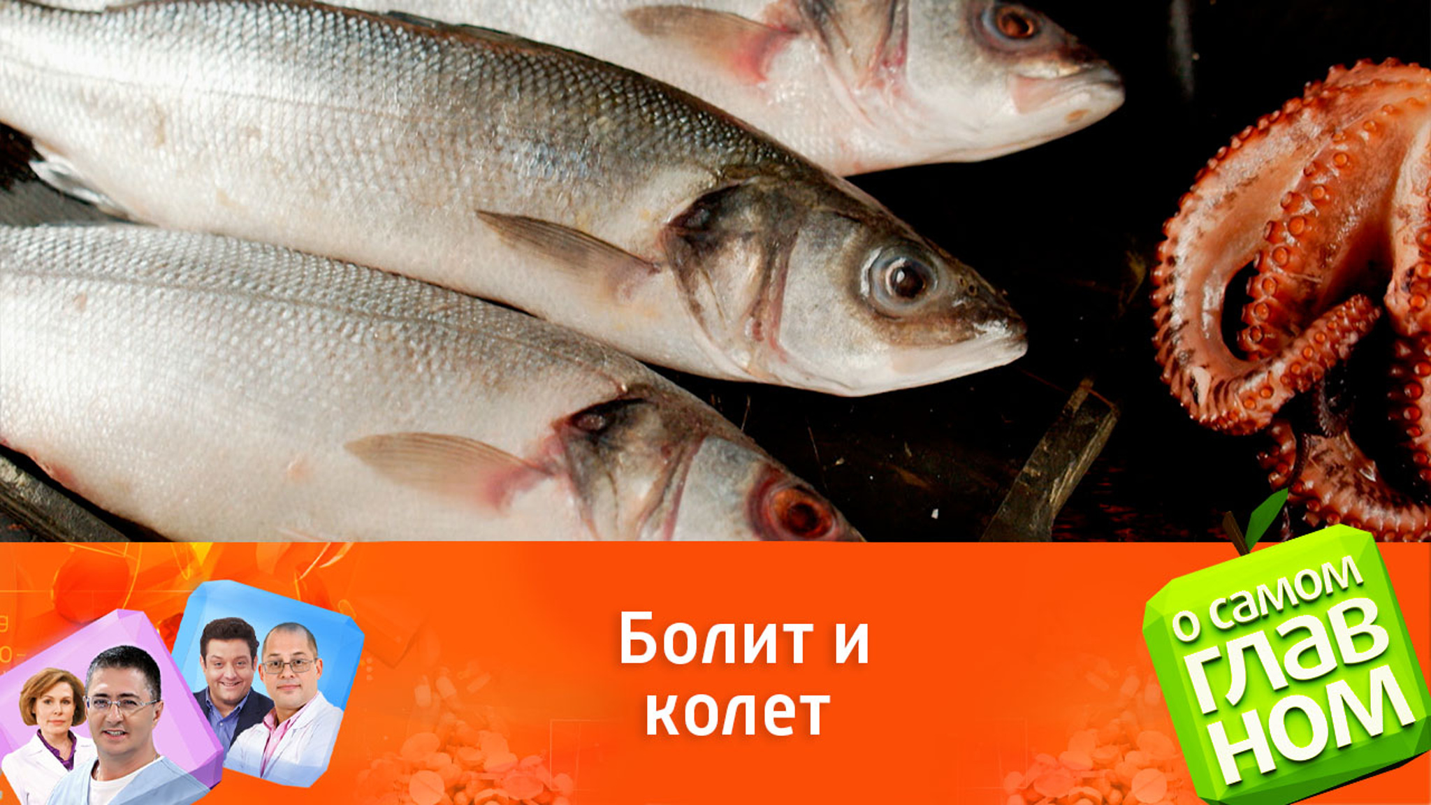 Мясников о хроническом панкреатите