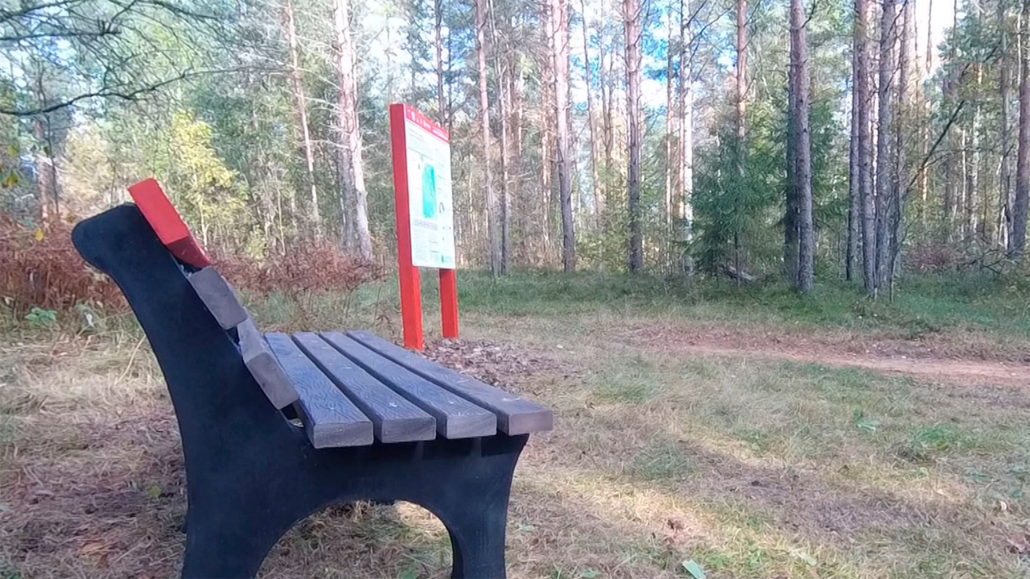 В Ленинградской области появилась новый маршрут для любителей леса