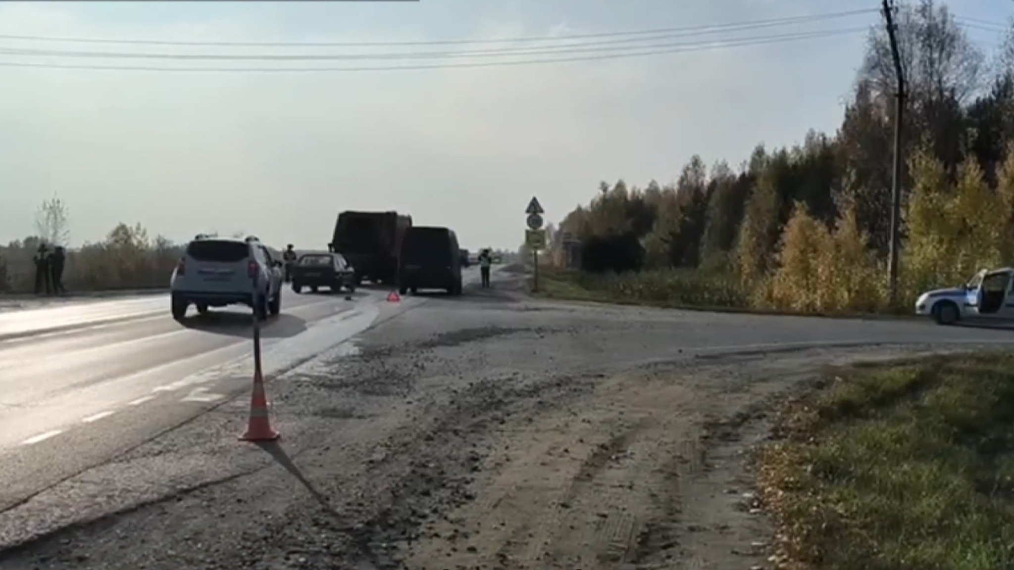 Тюменка с восьмью собаками в машине сбила насмерть пенсионера на пешеходном переходе