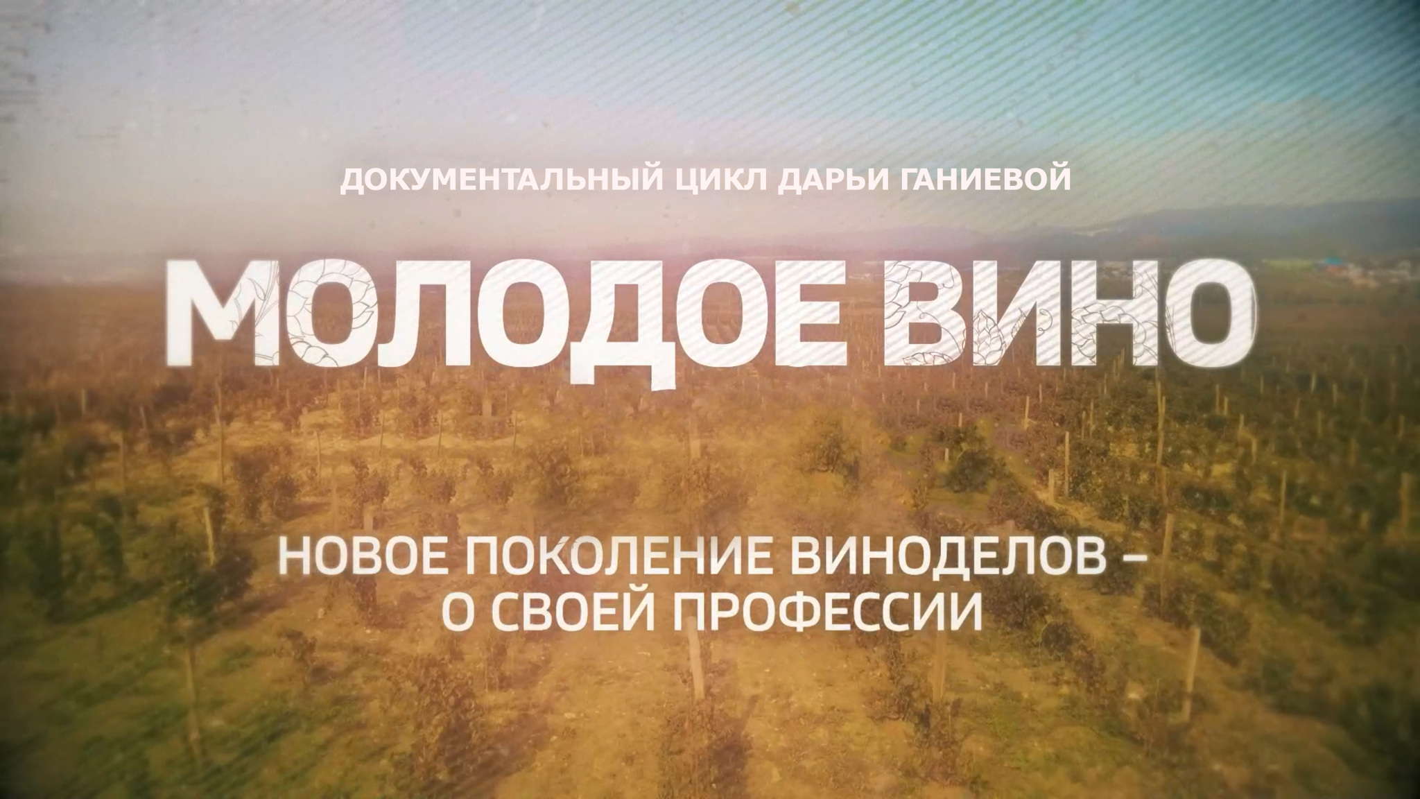 Молодое вино