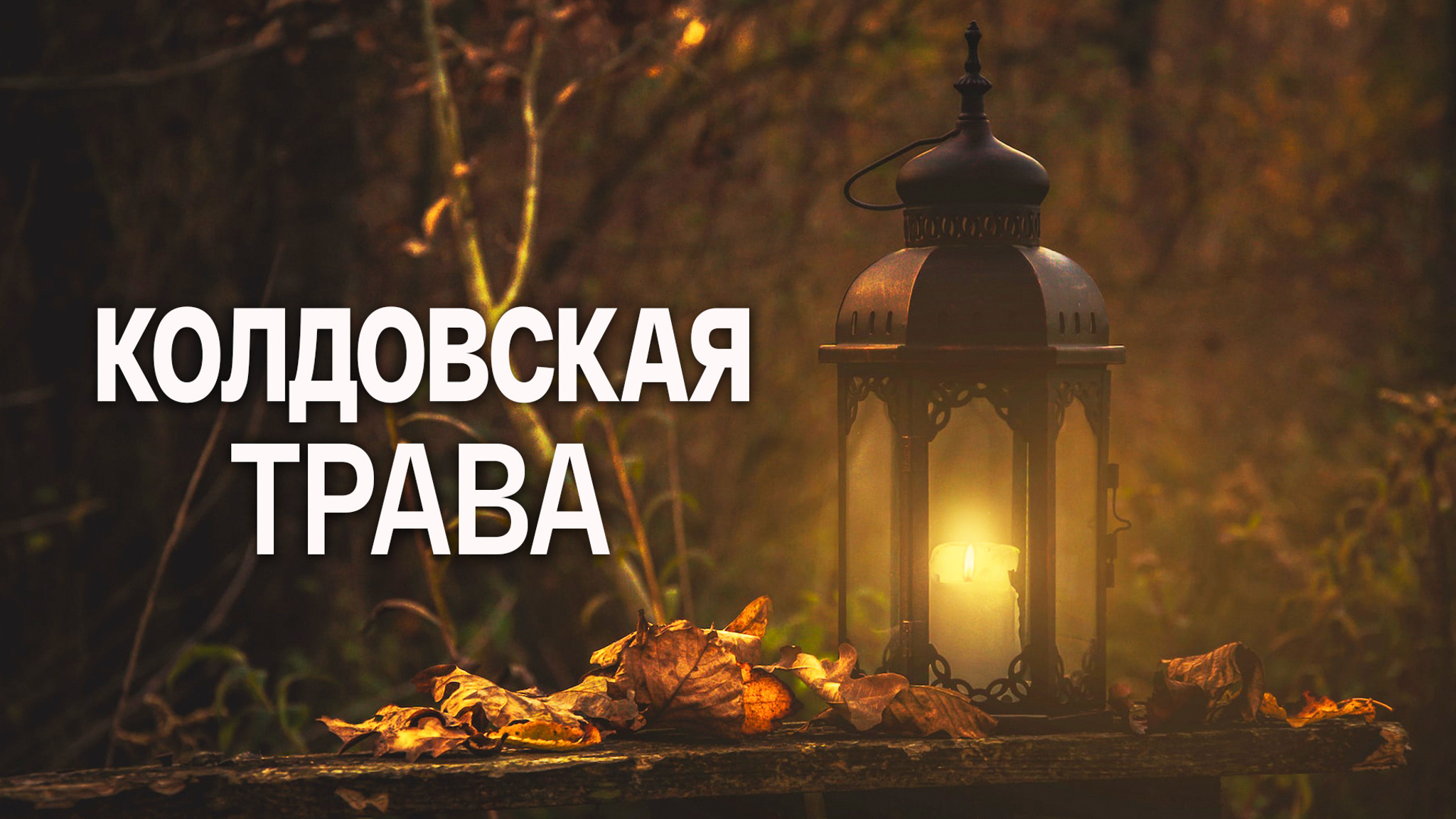 Вильгельм Гауф. Колдовская трава