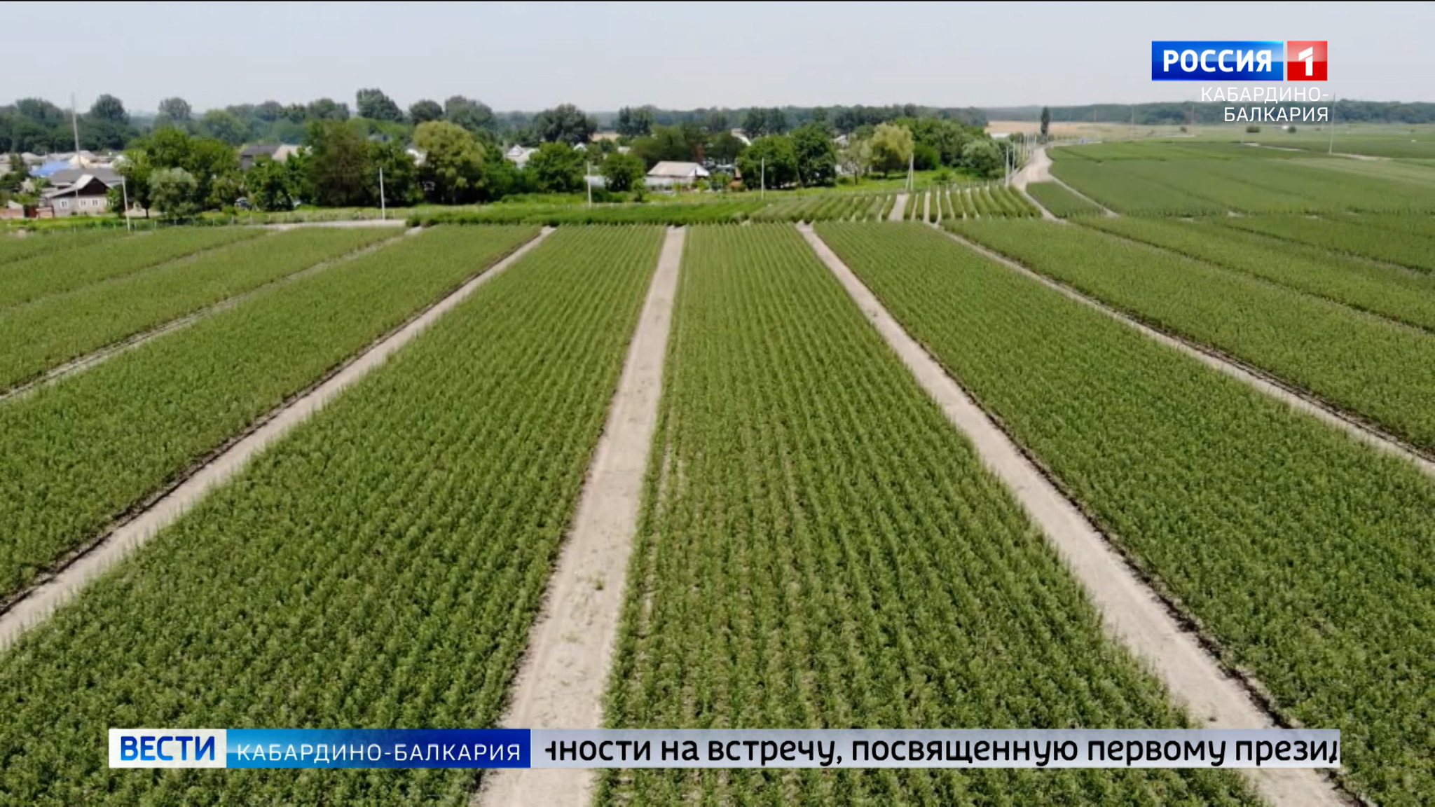 В КБР нынешней осенью появились еще сто гектаров многолетних насаждений