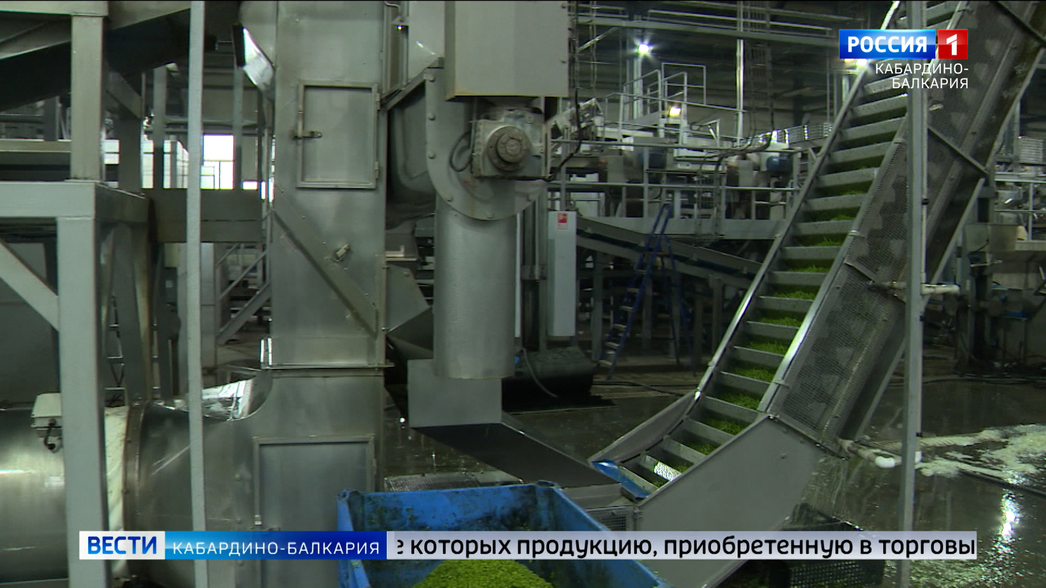 Зеленый горошек из КБР получил два сертификата соответствия высоким стандартам