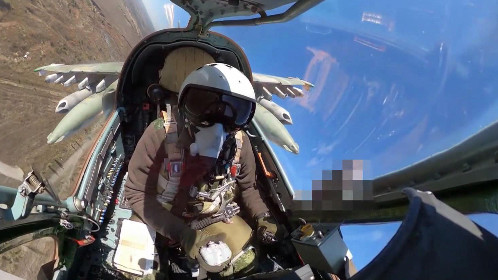 Выпав из гнезда в окоп, совенок присоединился к участникам СВО