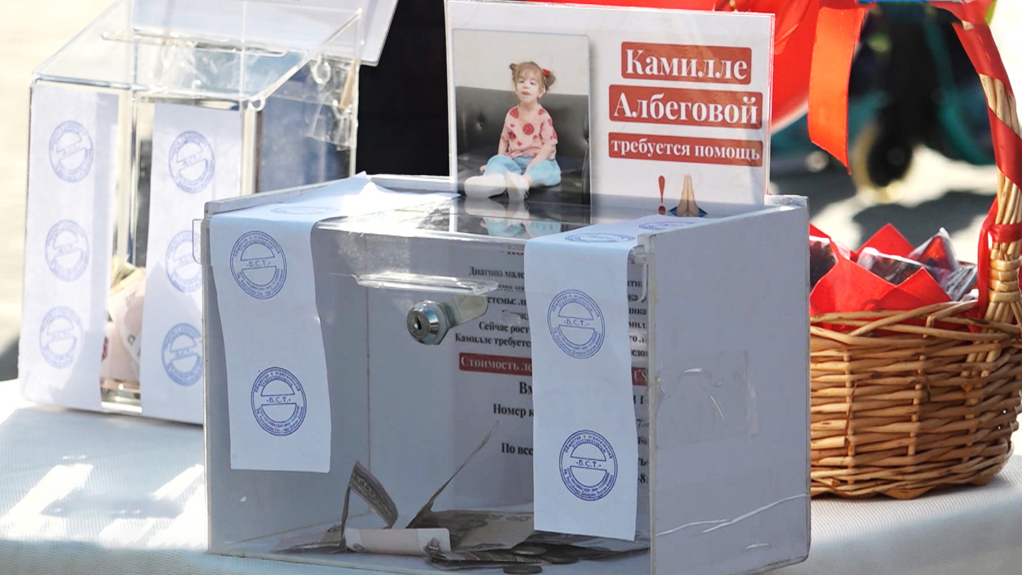#Поможем вместе: благотворительная акция "Символ доброй воли" прошла во Владикавказе