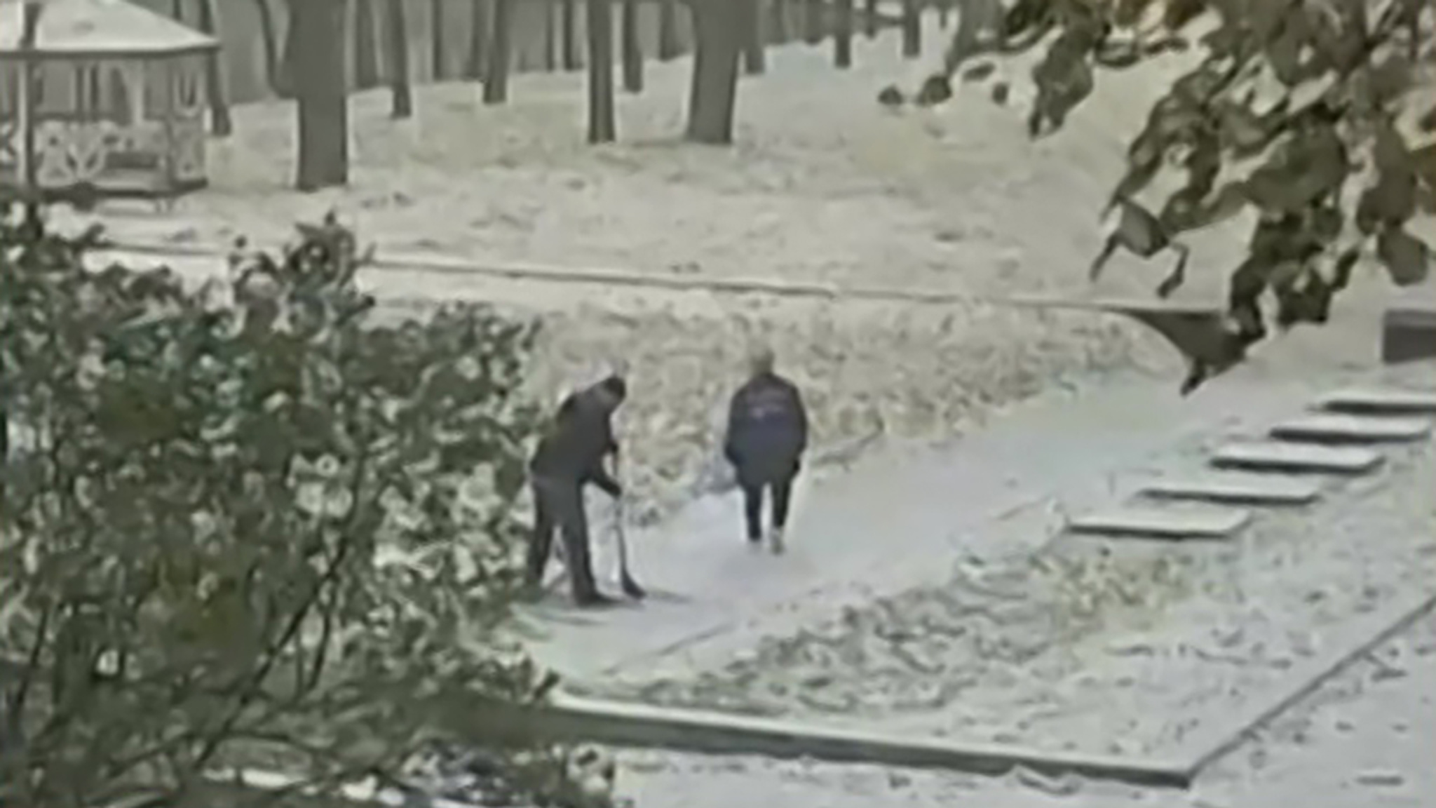 Регионы Черноземья оказались во власти снегопада
