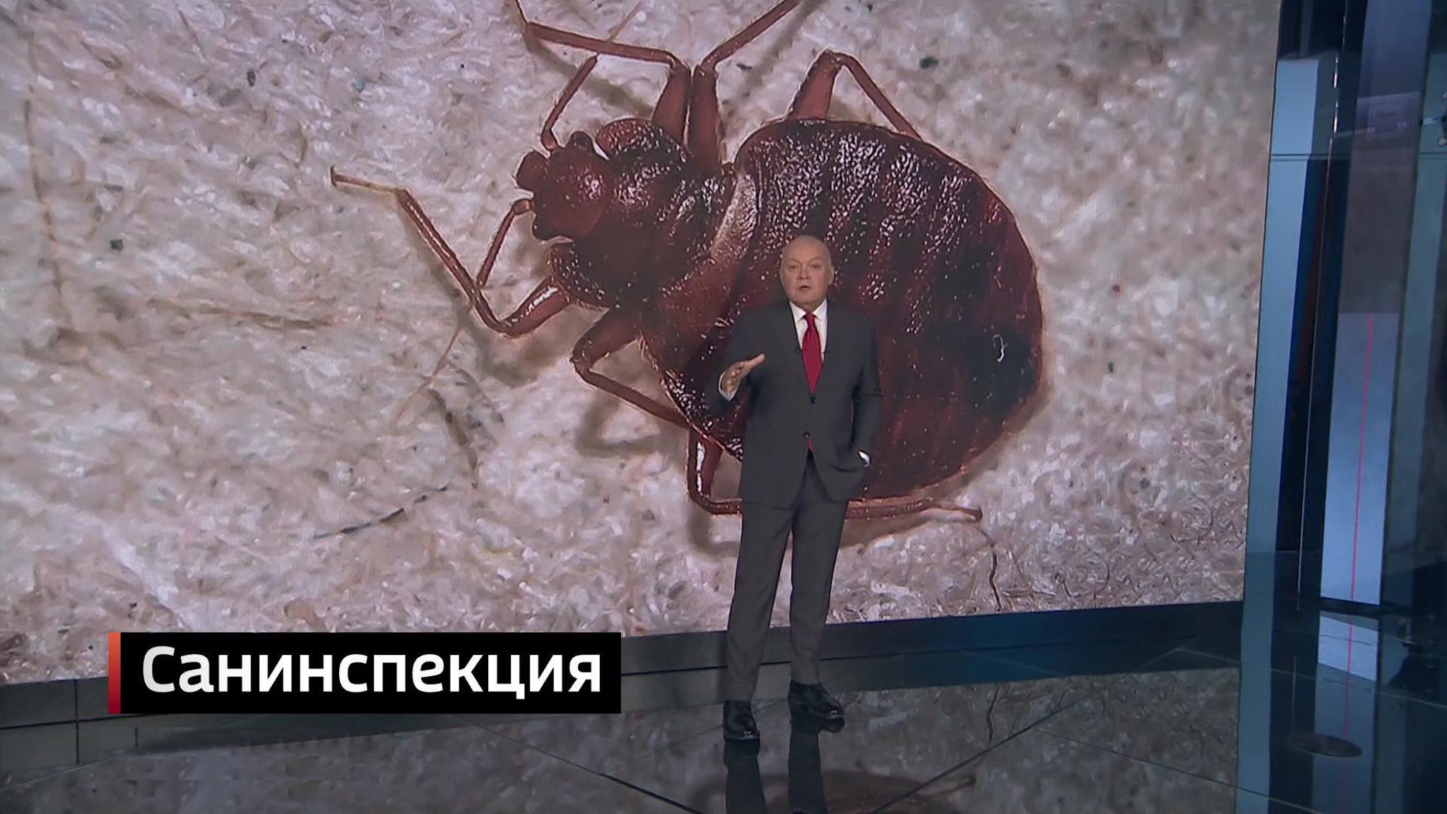 "Русские боевые клопы" форсировали Ла-Манш