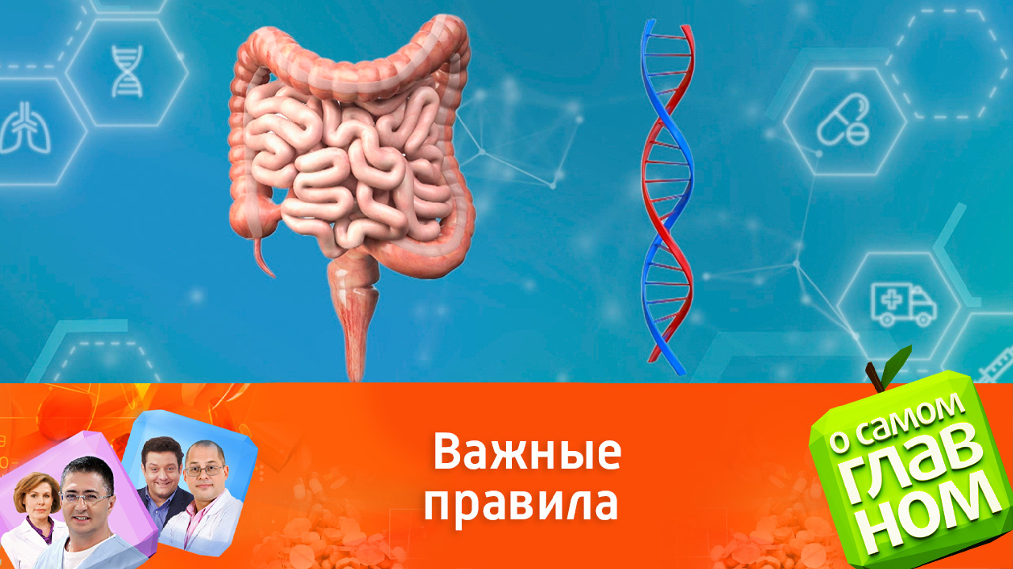 Как не допустить рак кишечника