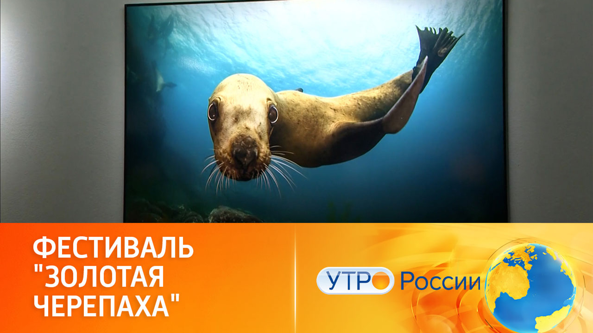 В Москве стартовал фестиваль дикой природы "Золотая черепаха"