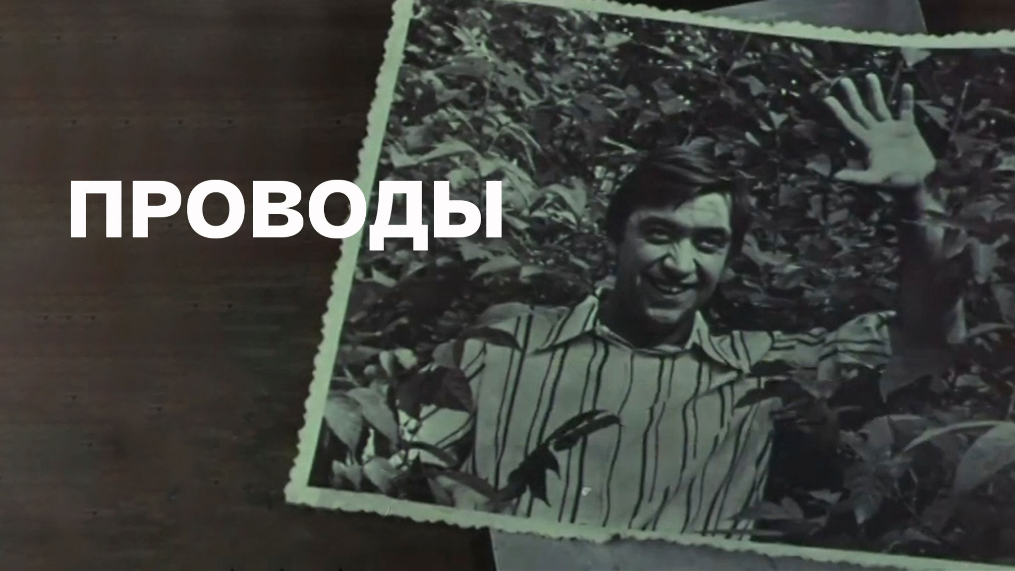Проводы