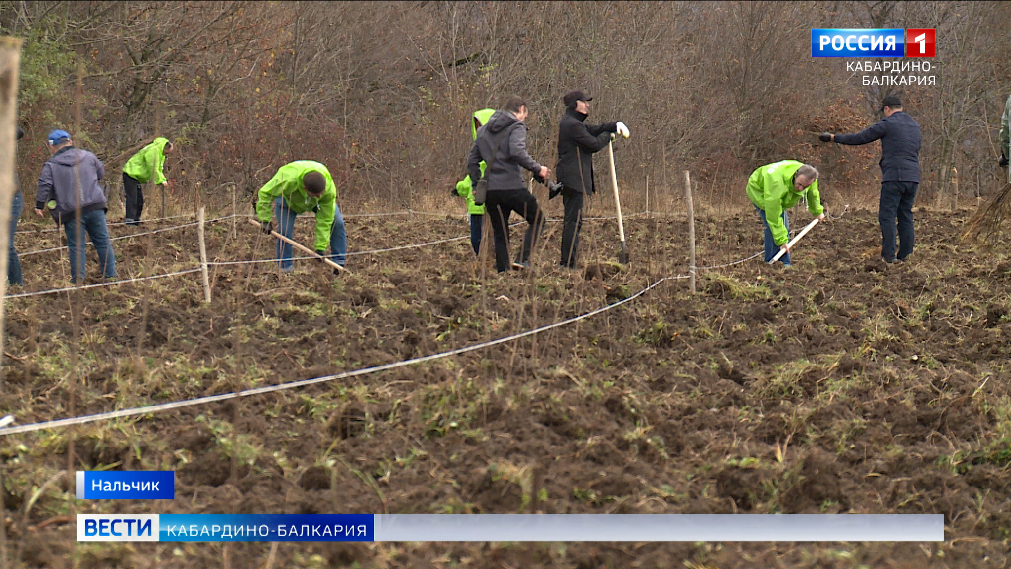 В КБР проходит Всероссийская акция "Сохраним лес"