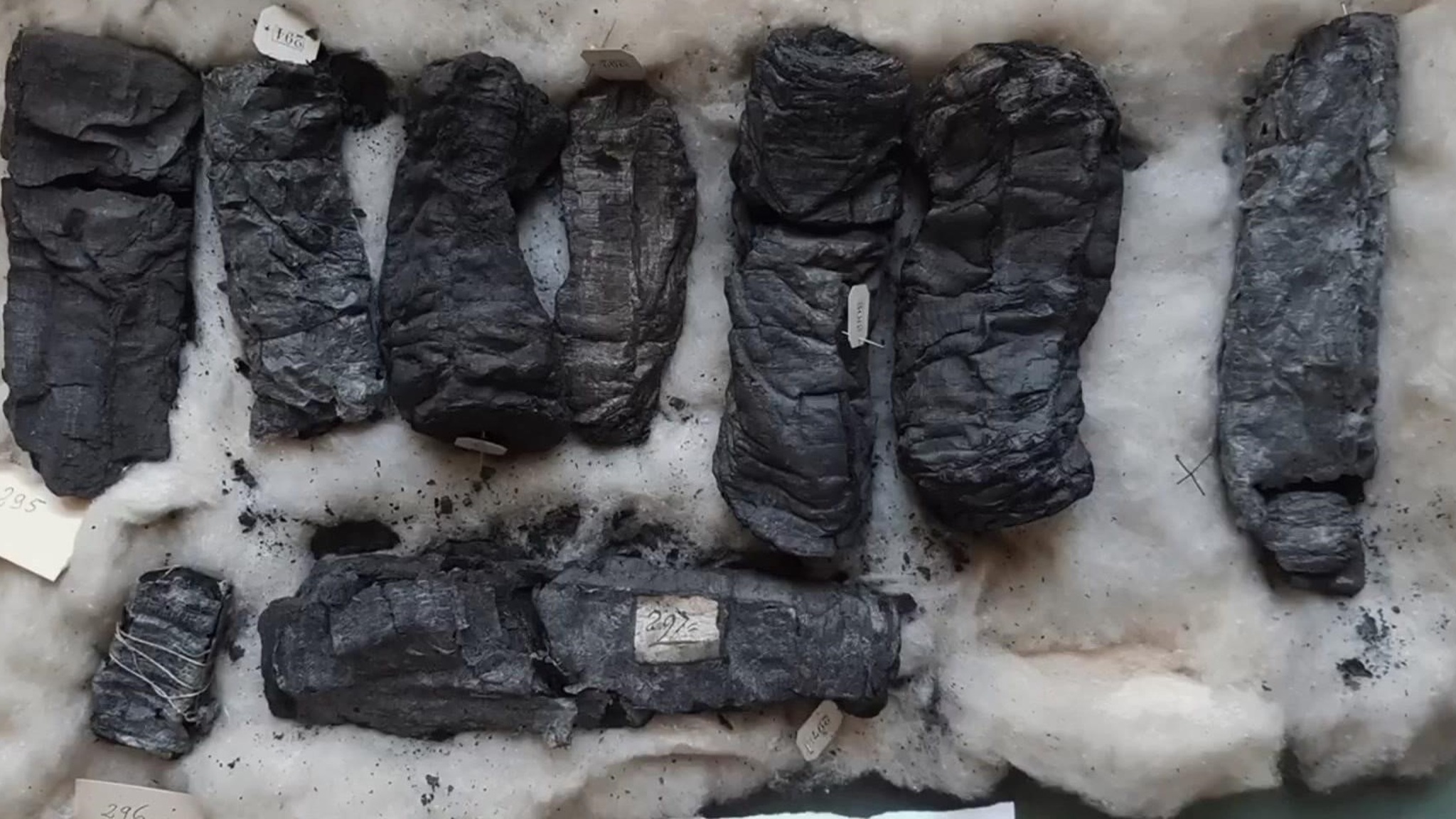 Ученые расшифровали сожженные Везувием свитки Геркуланума