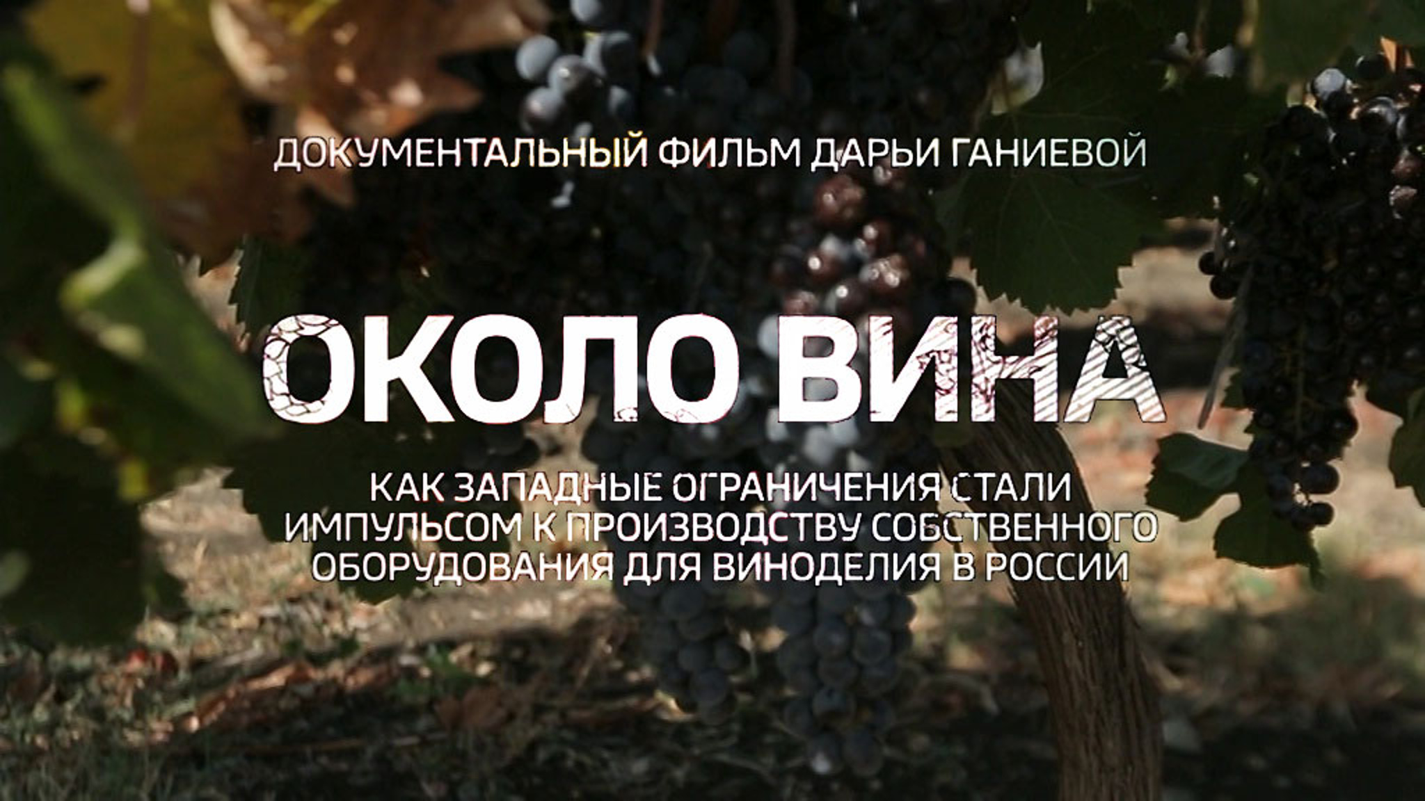 Около вина