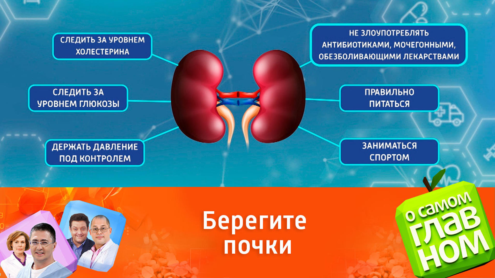 Совет доктора Мясникова, как сохранить здоровье почек