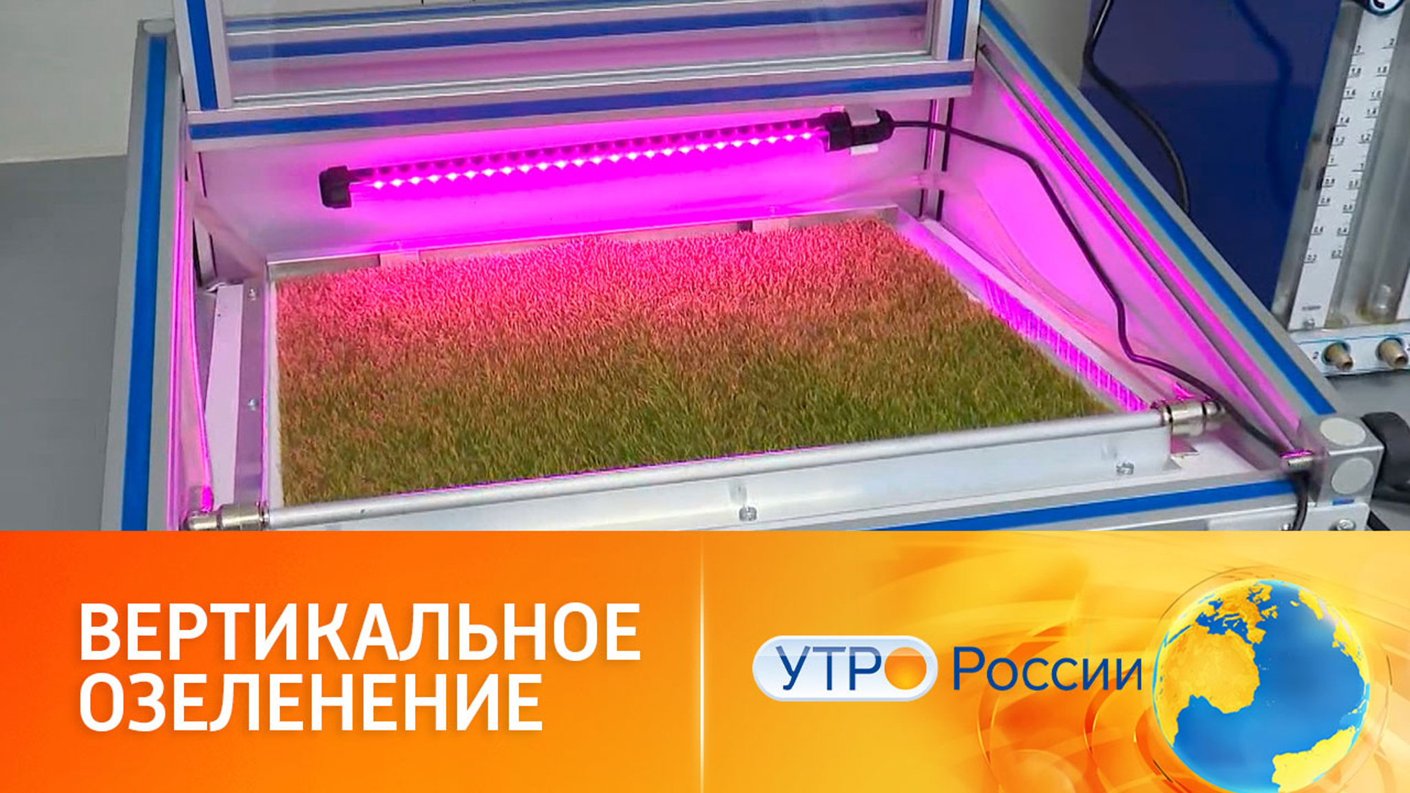 Дерево и краска. Необычные способы очистки воздуха