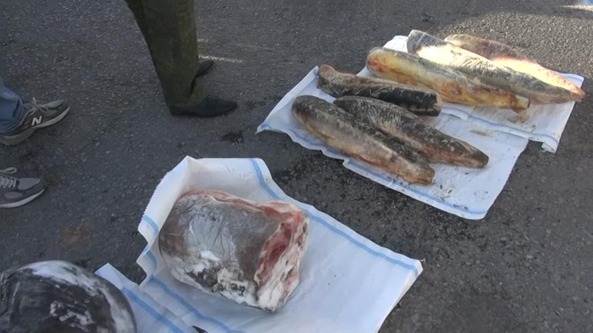 Планам преступников разбогатеть на деликатесах помешала ФСБ