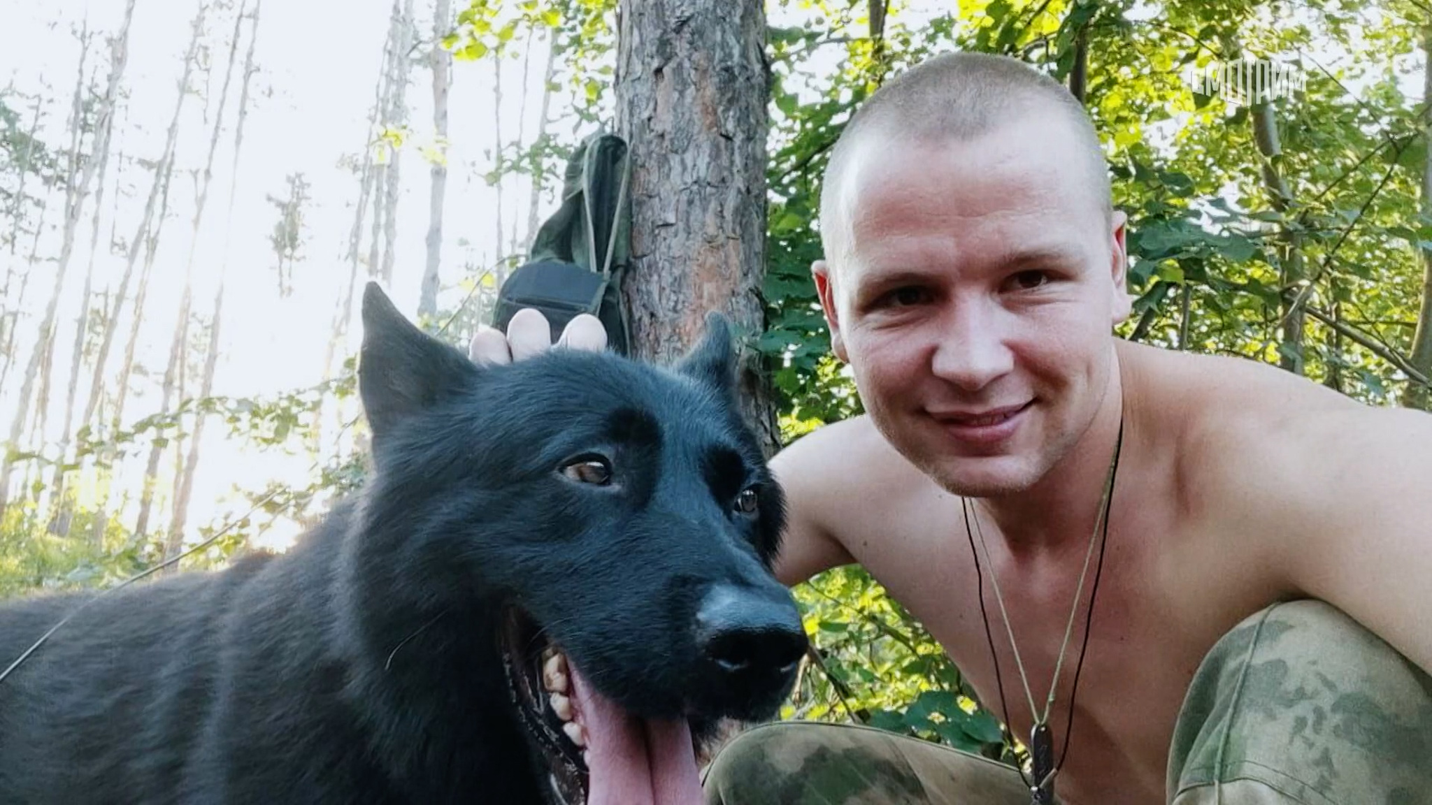 Четвероногий герой: как пес Донбасс спасал бойцов СВО от смерти