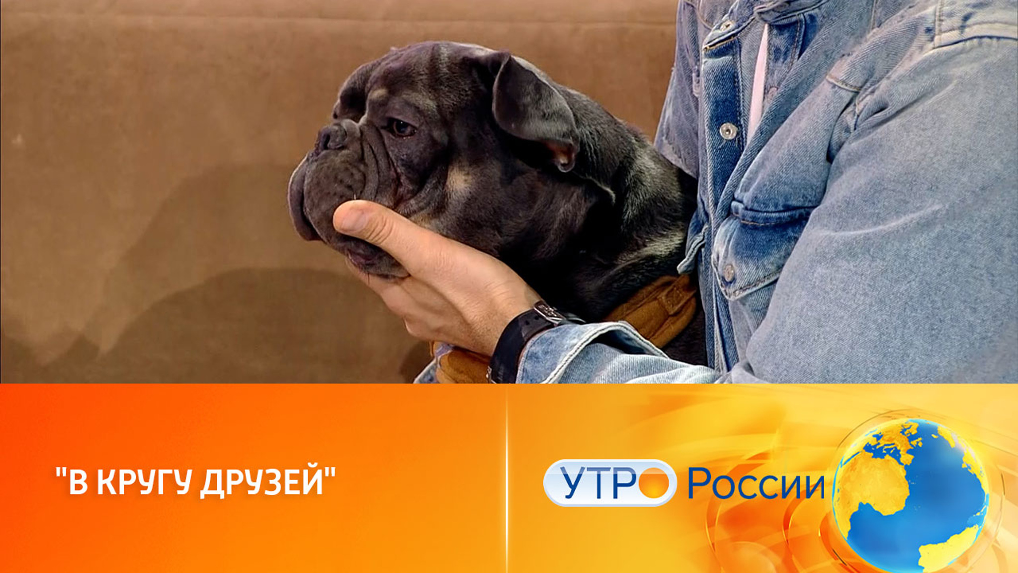 Чем удивит новый выпуск программы "В кругу друзей" (сюжет программы "Утро России")