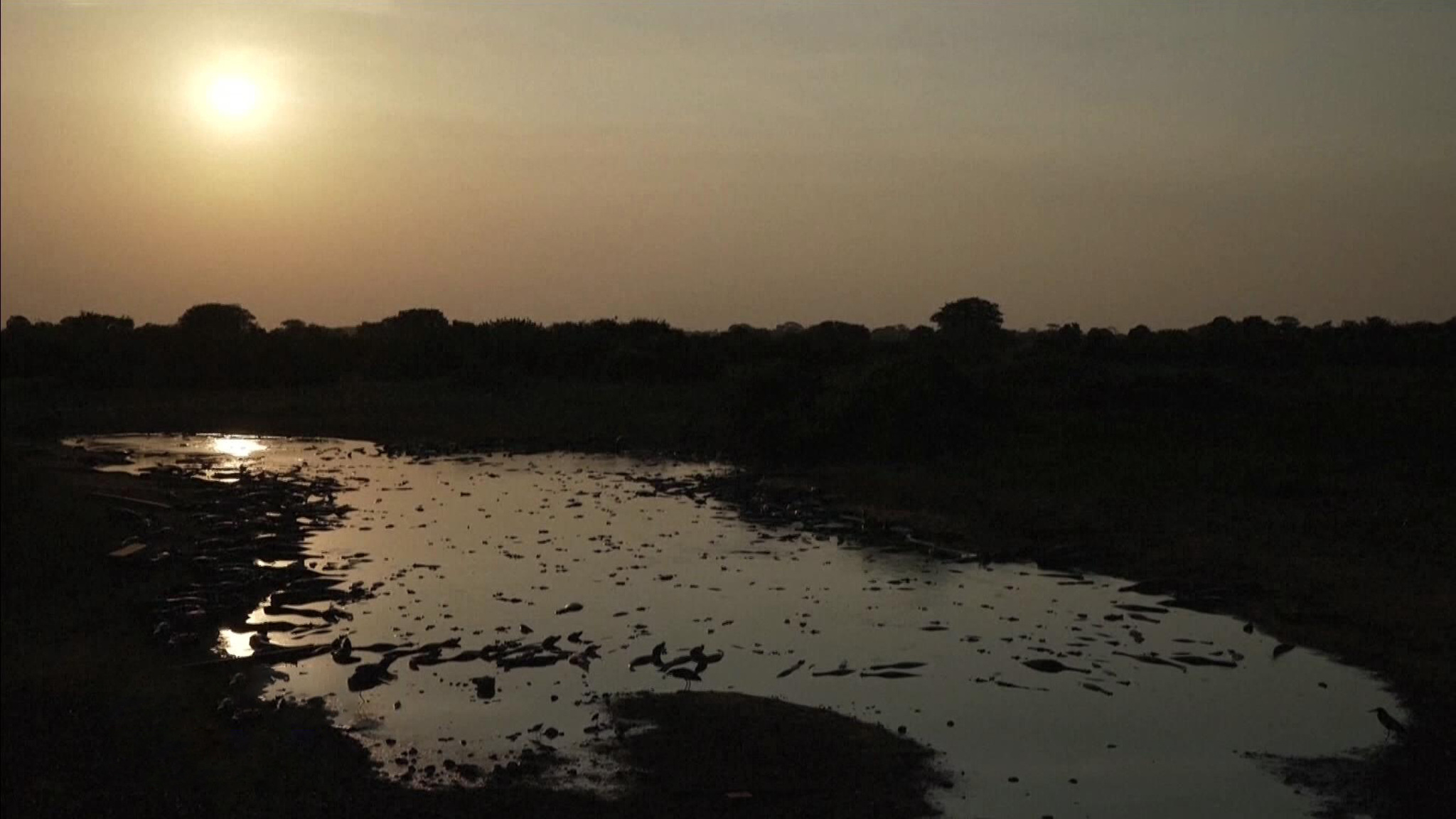 Погодные "депрессии" от роскошной жизни