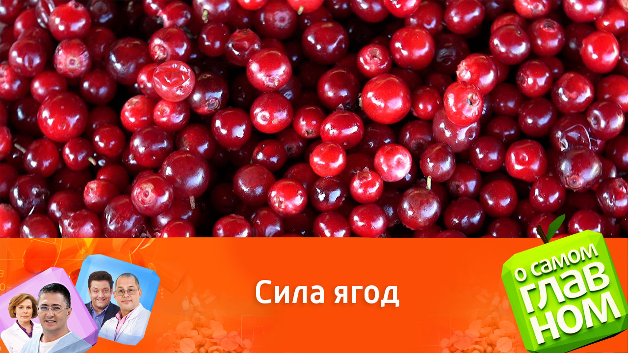 Заменят ли брусника и клюква целую аптечку