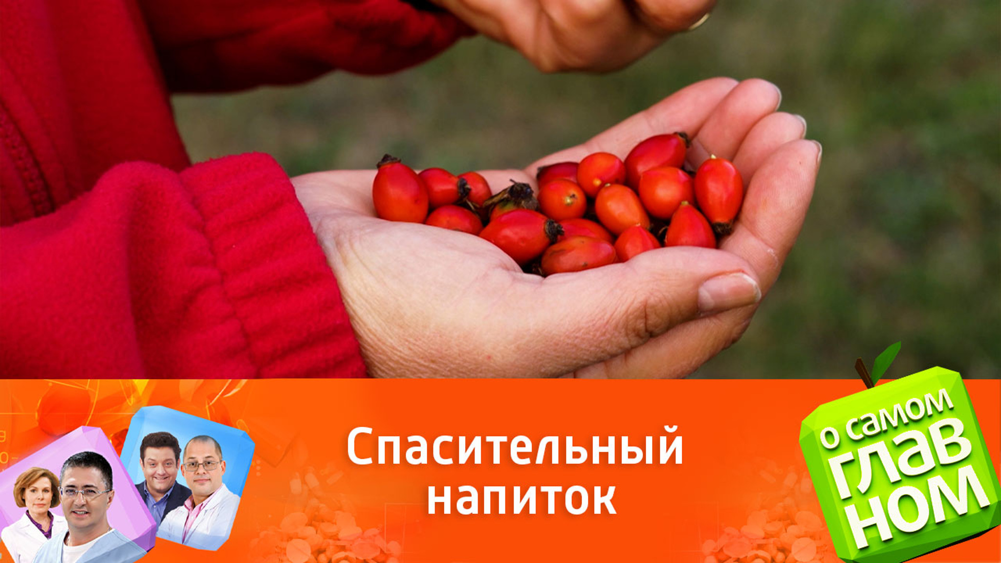 Как отвар шиповника поможет в сезон простуд