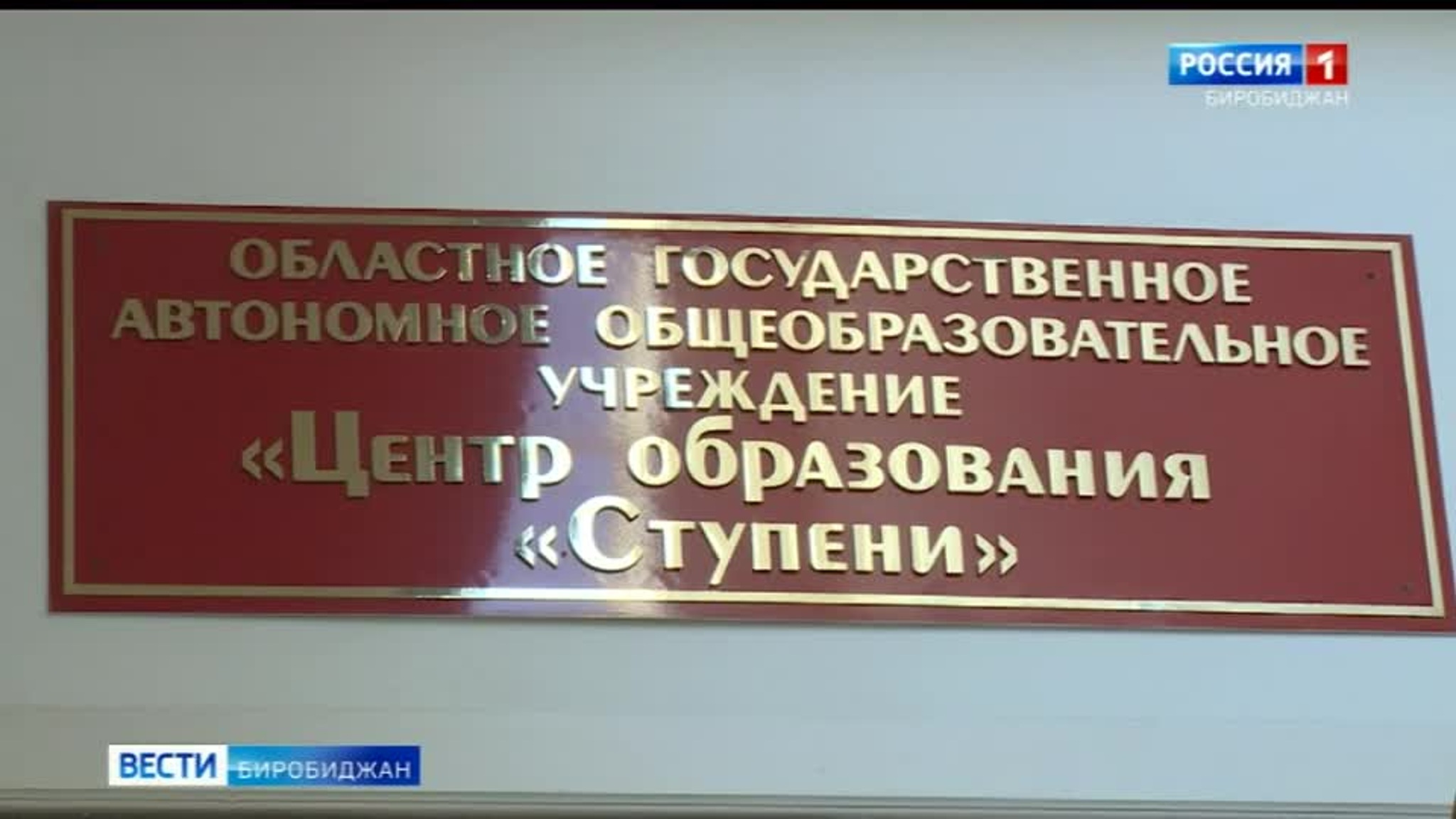 Родителей, опекунов и педагогов учат помогать ребенку  преодолевать трудности в "Ступенях"