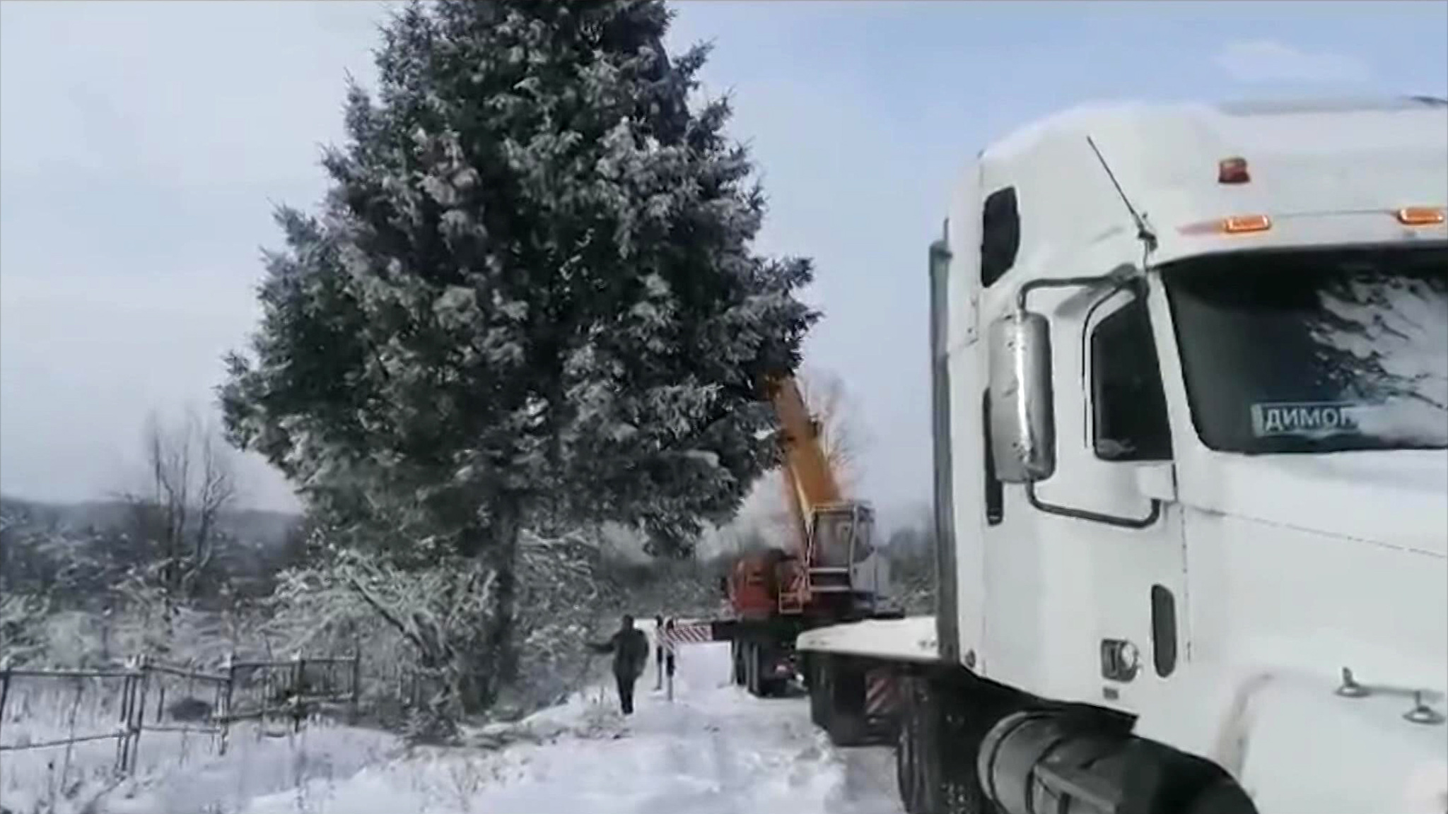 Новогодняя елка стала поводом для скандала в Челябинской области