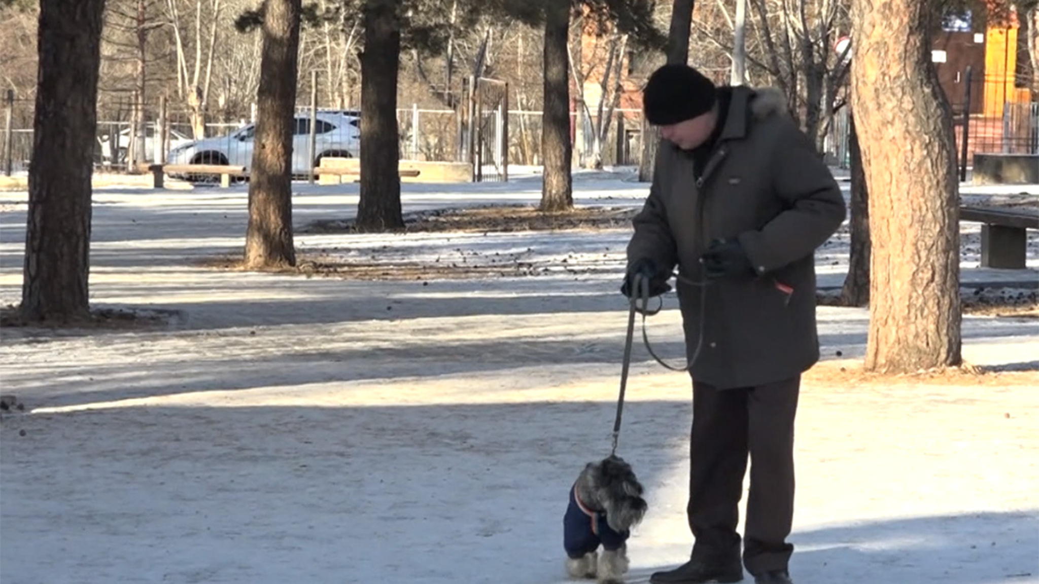 В парке Пионеров в Чите запретили выгуливать собак