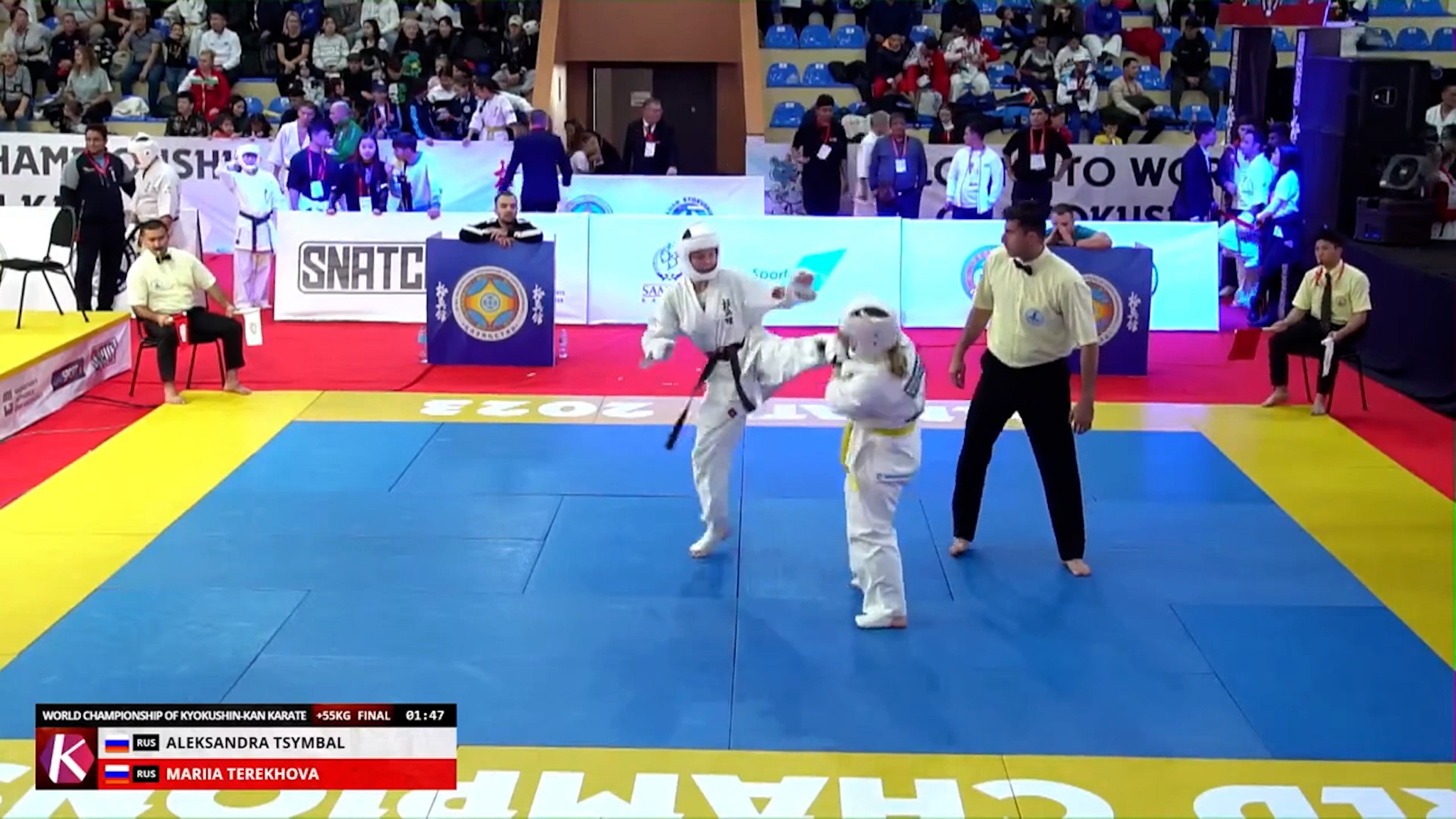 Ульяновские спортсмены продолжают показывать высокие результаты