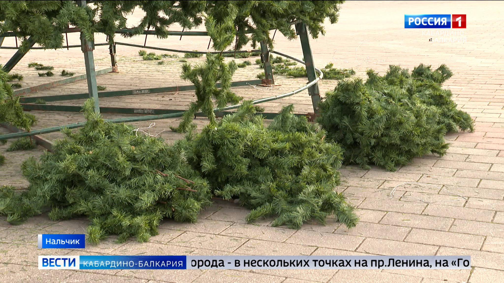 В Нальчике начали  устанавливать   новогодние елки