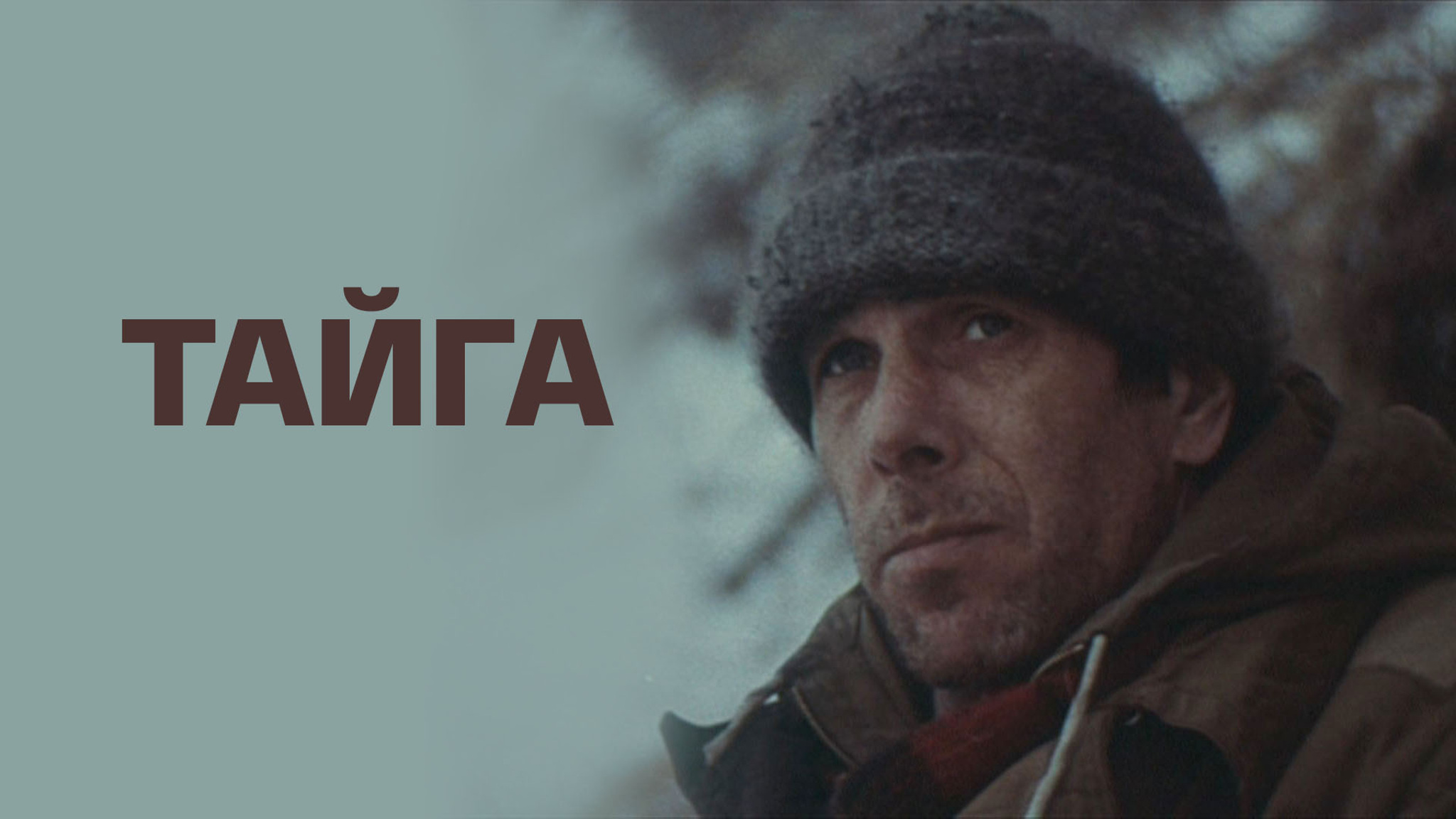 Тайга