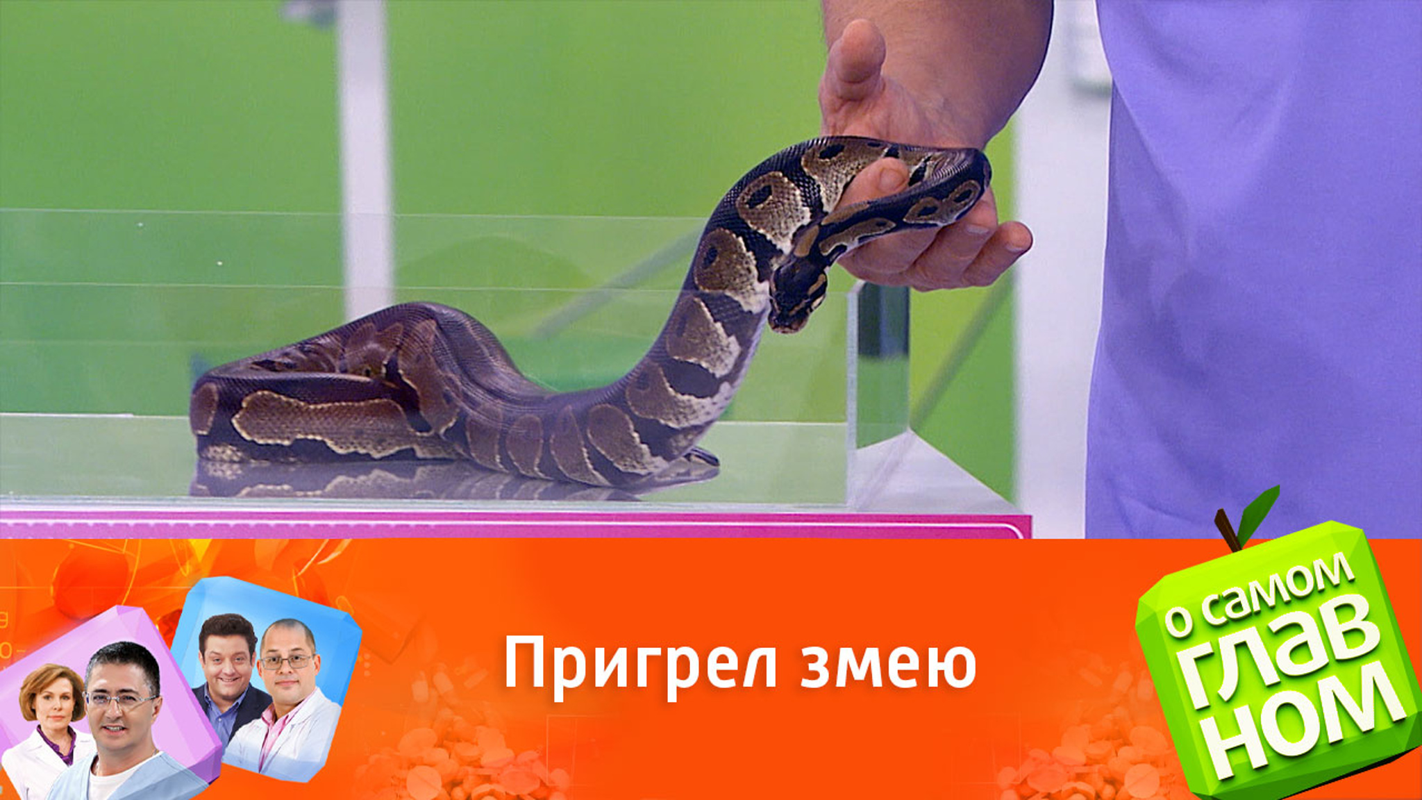 Мясников со змеей на шее проверил страх женщин перед пресмыкающимися