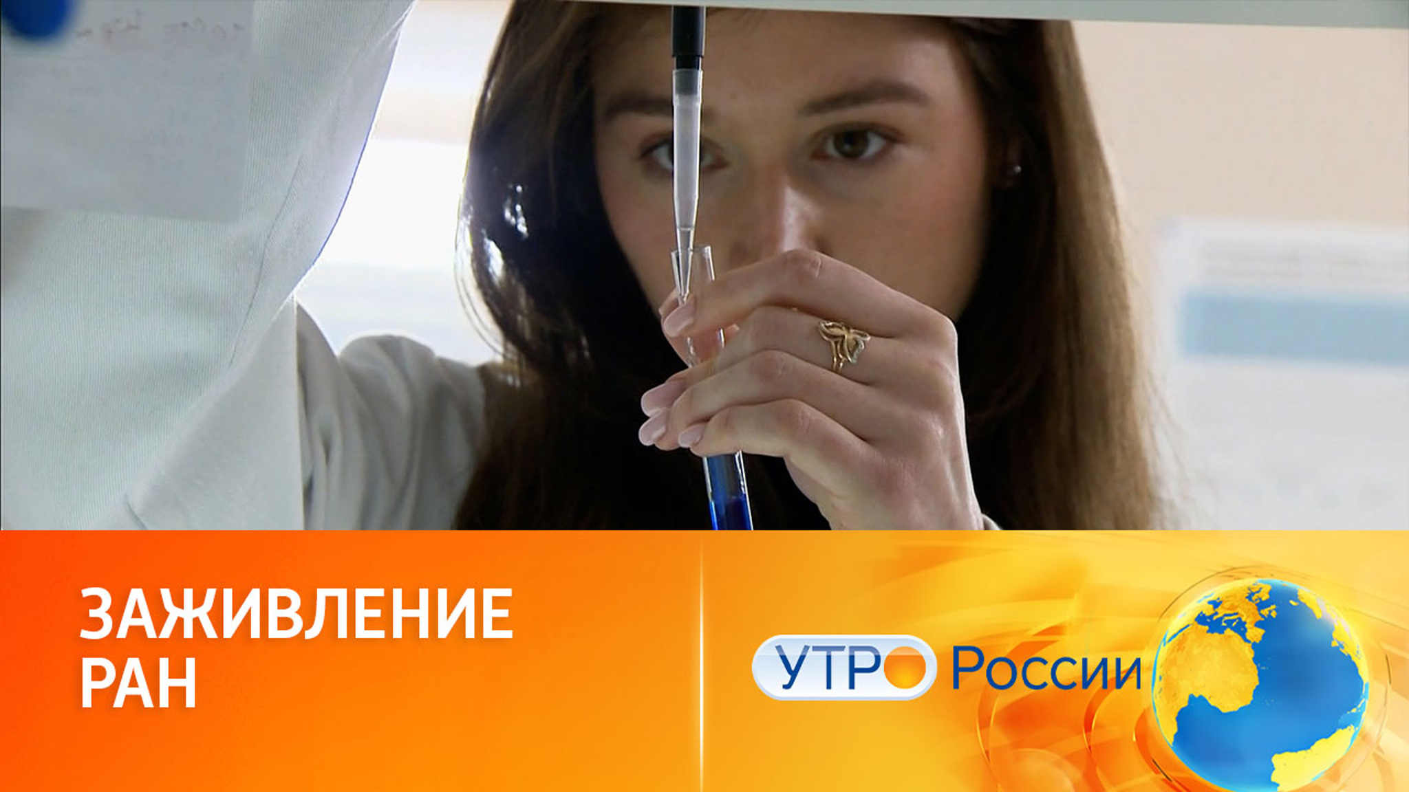 Лекарство из краба: новые биомедицинские разработки российских ученых