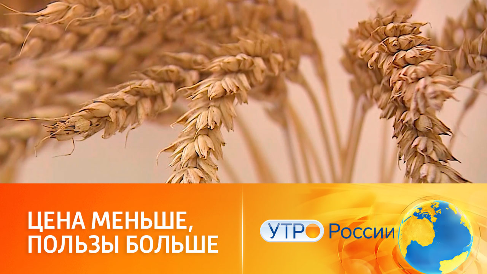 Из чего делают полезную для здоровья муку