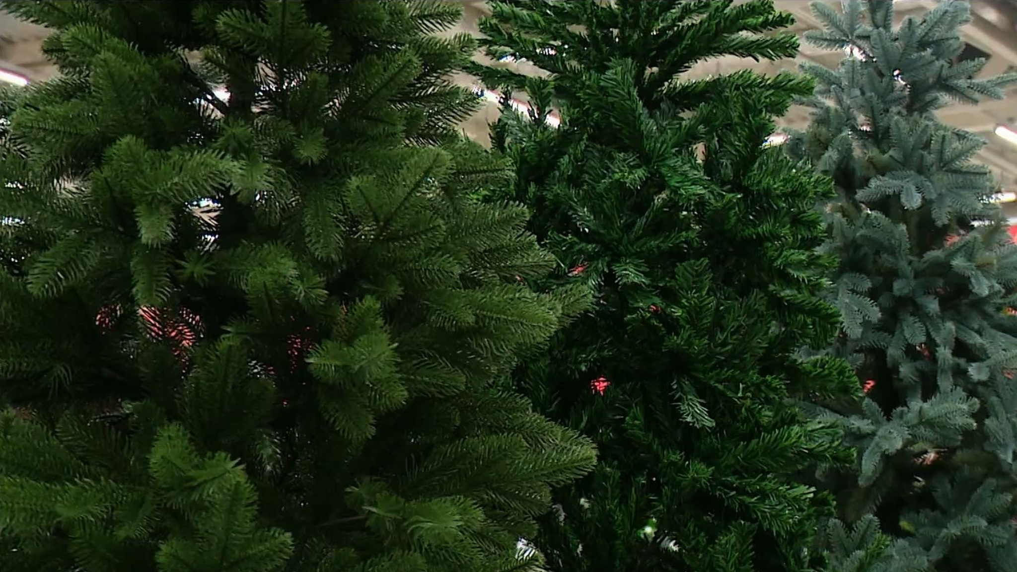 Эфир от 24.12.2023 (08:00)
