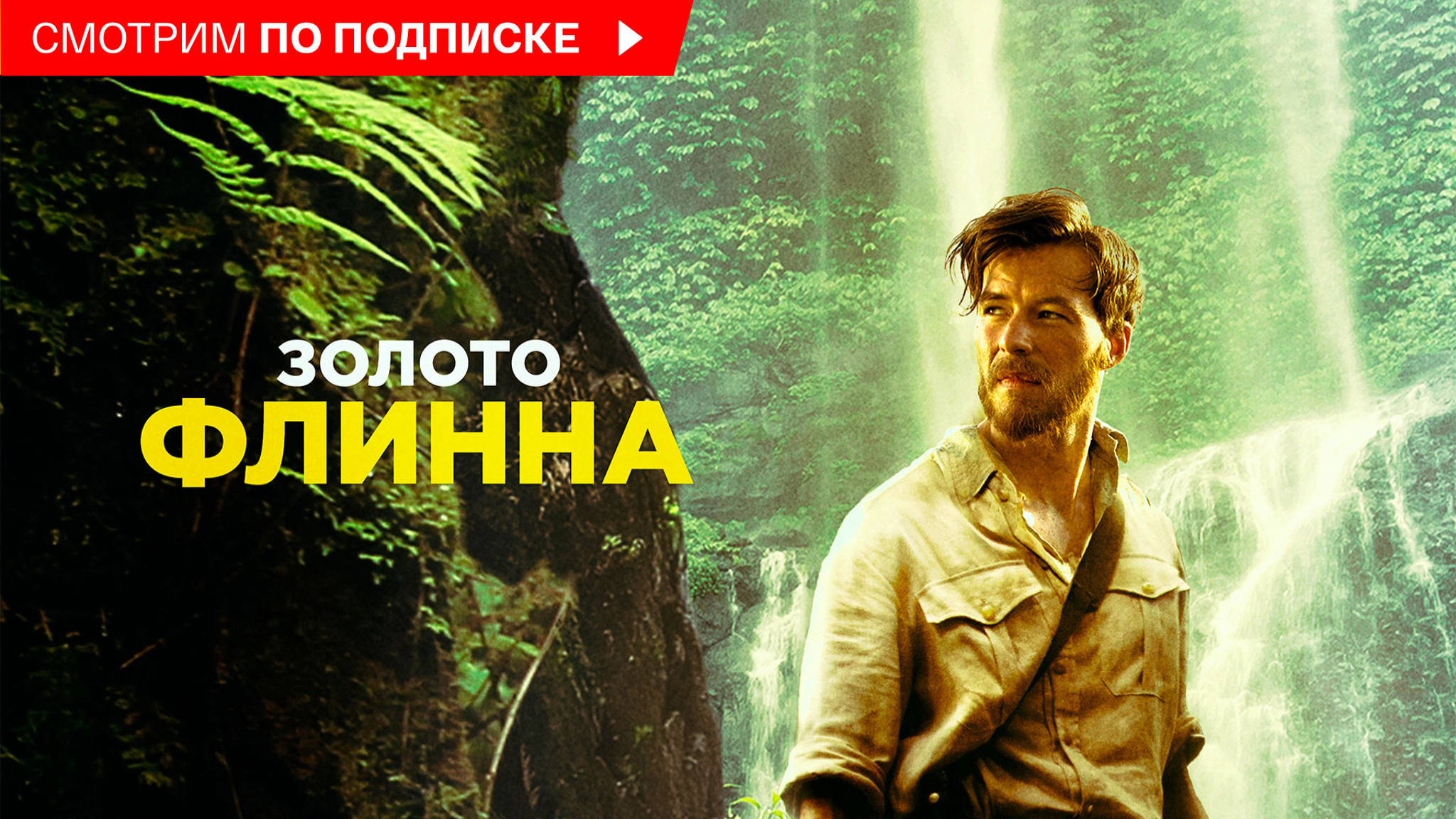 Золото Флинна