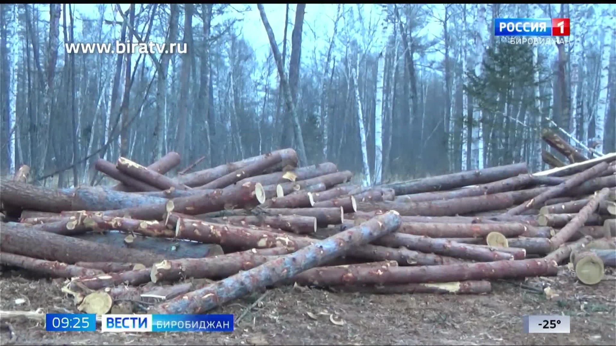Сегодня в эфире "Радио России Биробиджан" (25 декабря)