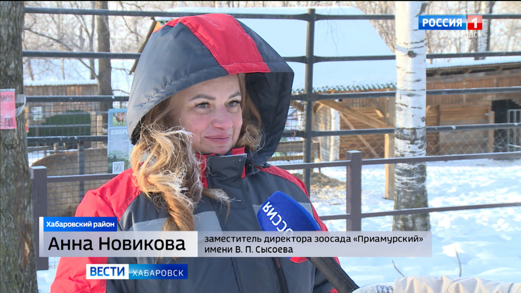 По кому скучают зимой питомцы зоосада "Приамурский"