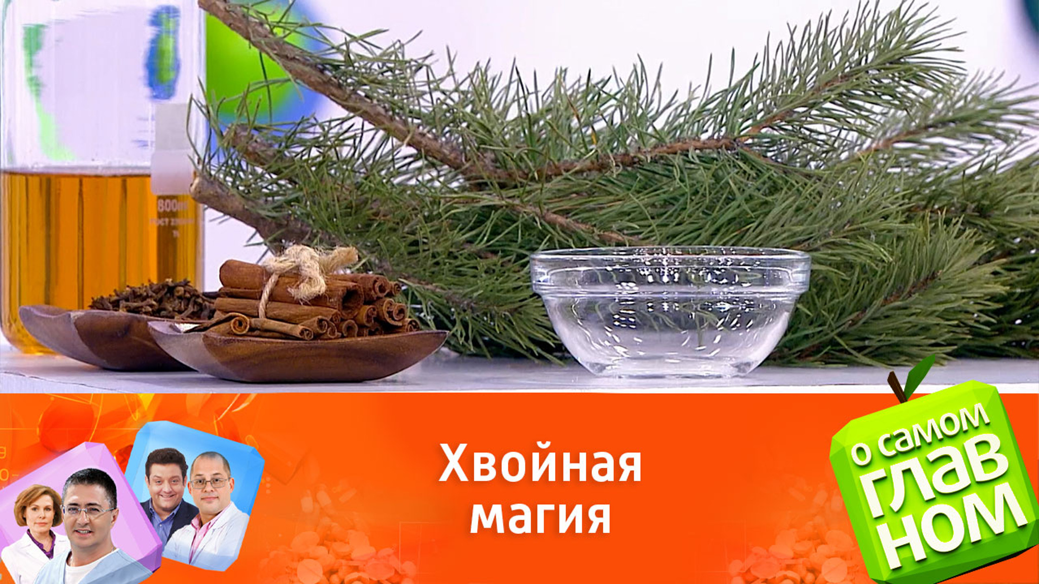 Сосна: источник здоровья и хорошего настроения