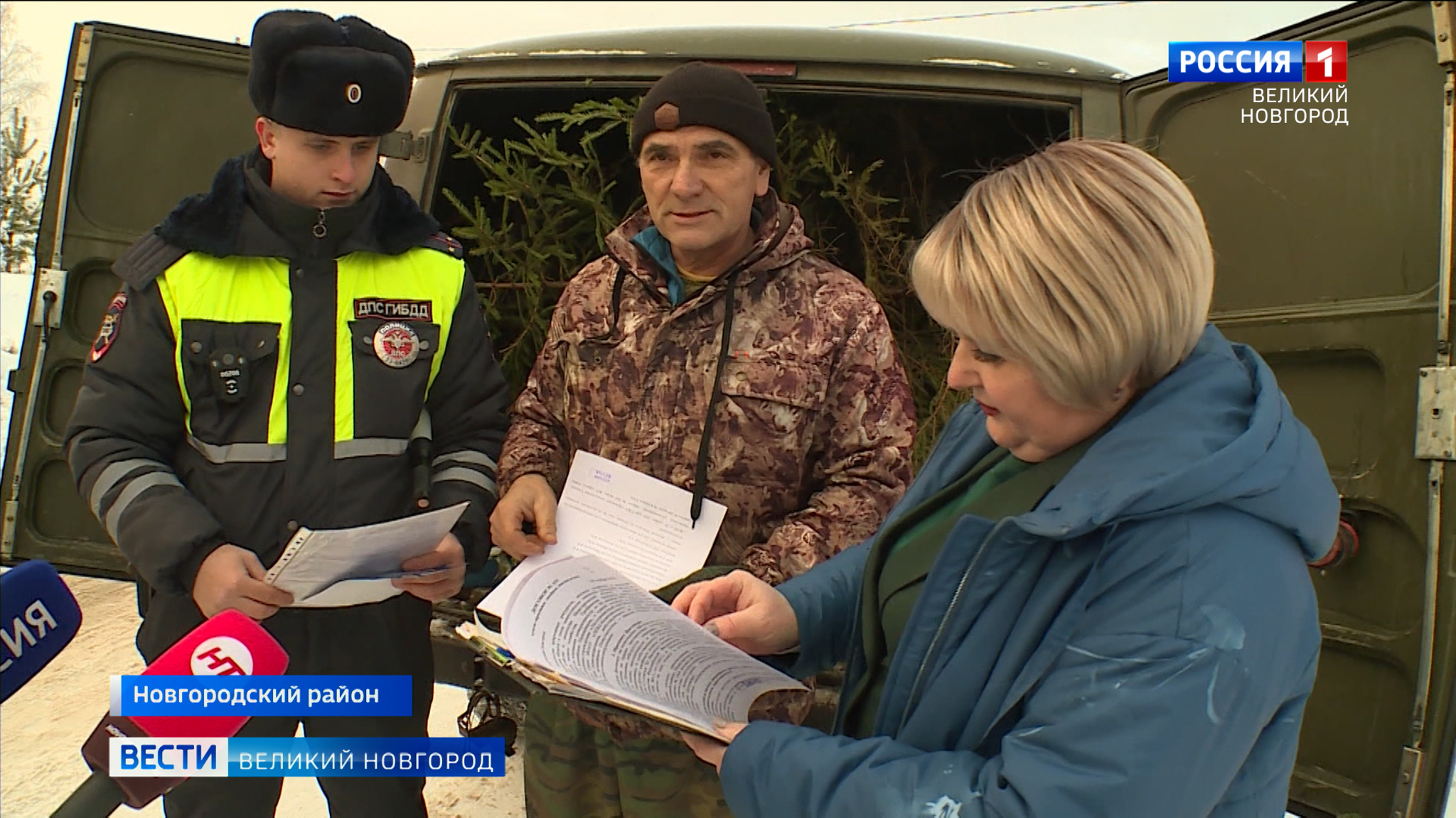 В канун Нового года новгородская лесоохрана ежедневно проводит "рейды по ёлкам"