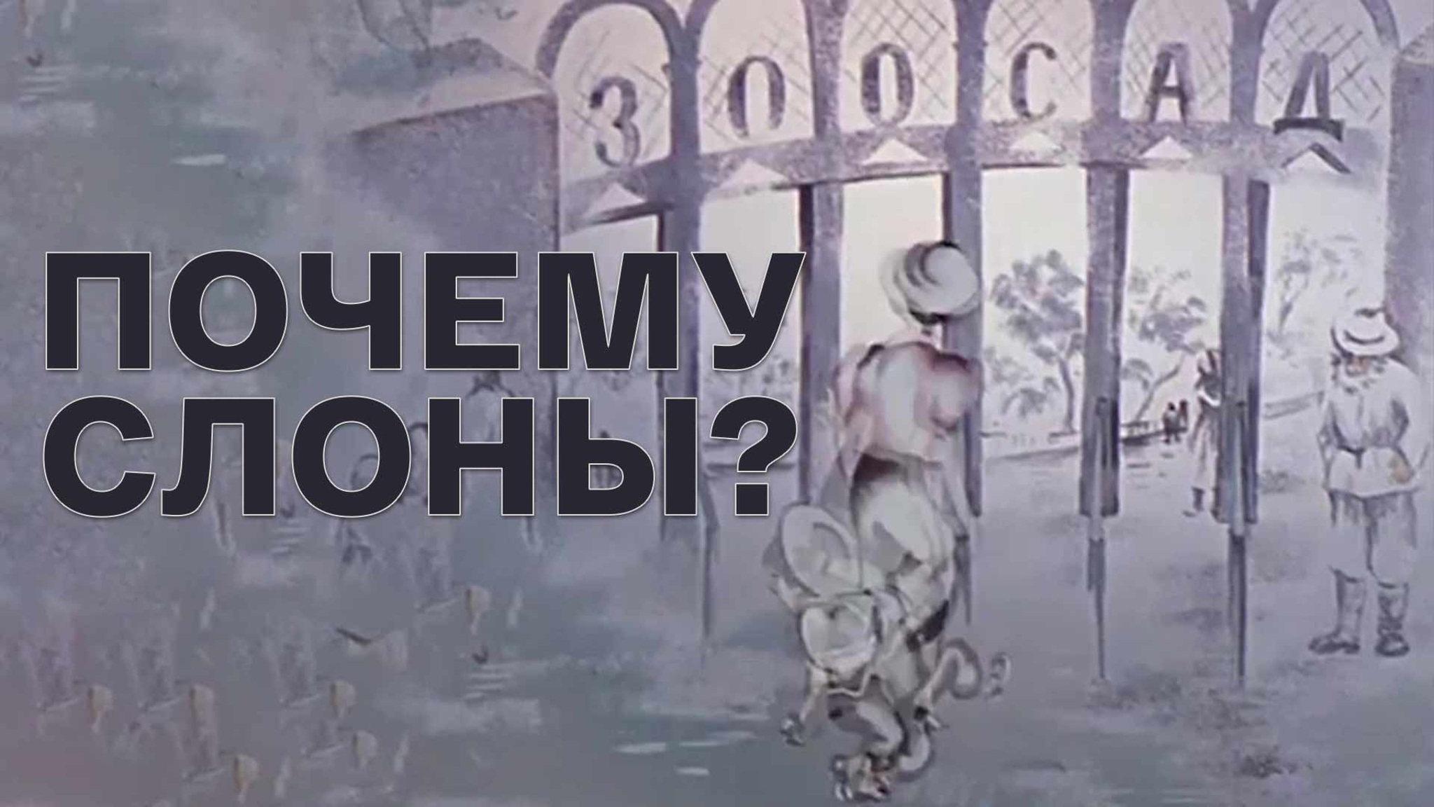 Почему слоны?
