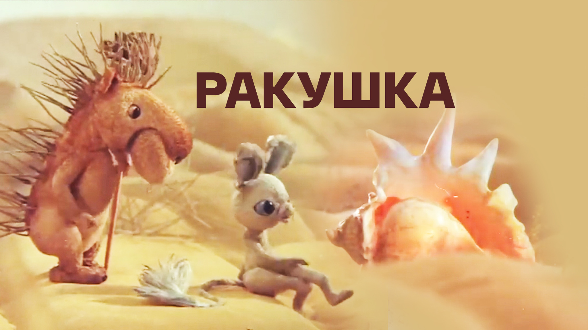 Ракушка