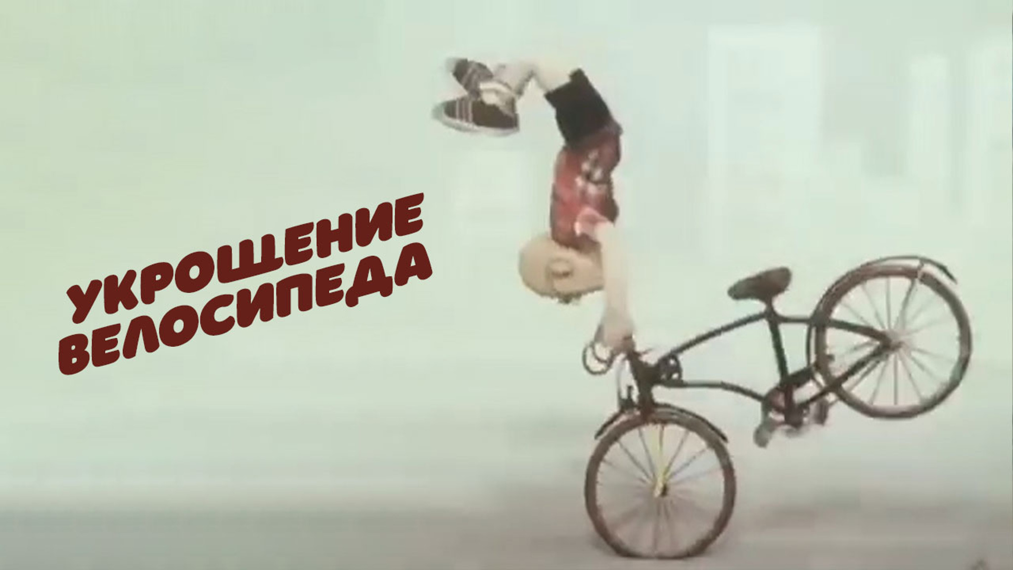 Укрощение велосипеда