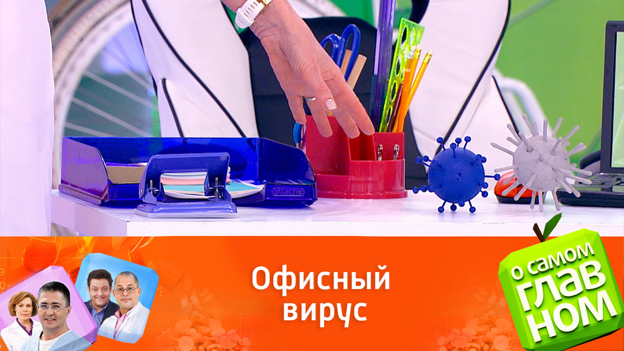 Доктор Пайганова рекомендует держать цветы в офисе для поддержания иммунитета