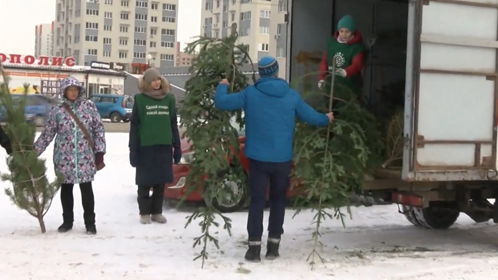 Тюменцев просят не выбрасывать новогодние ели