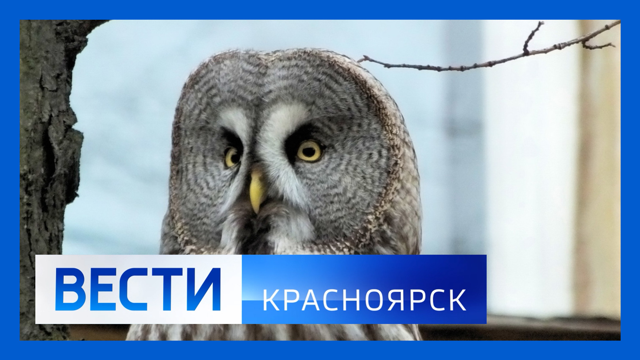 Эфир от 11.01.2024