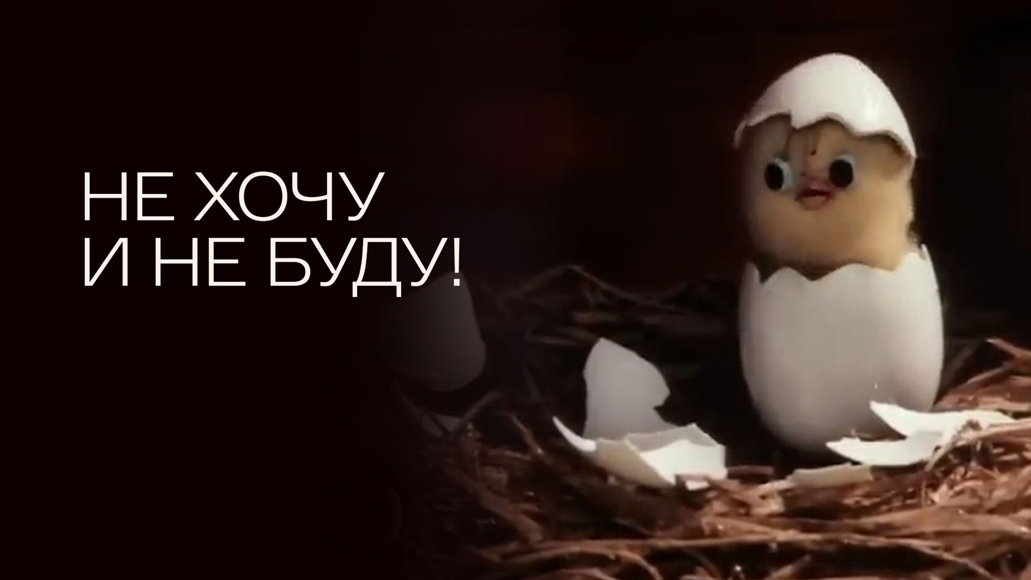 Не хочу и не буду