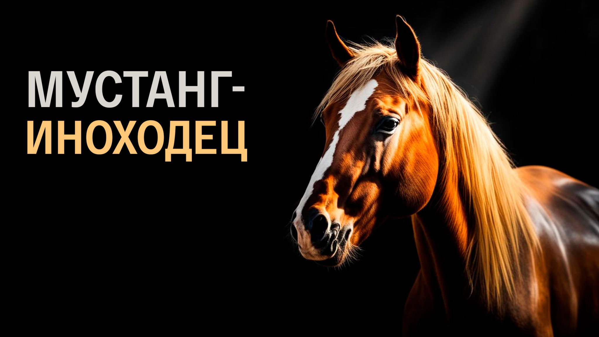Мустанг-иноходец